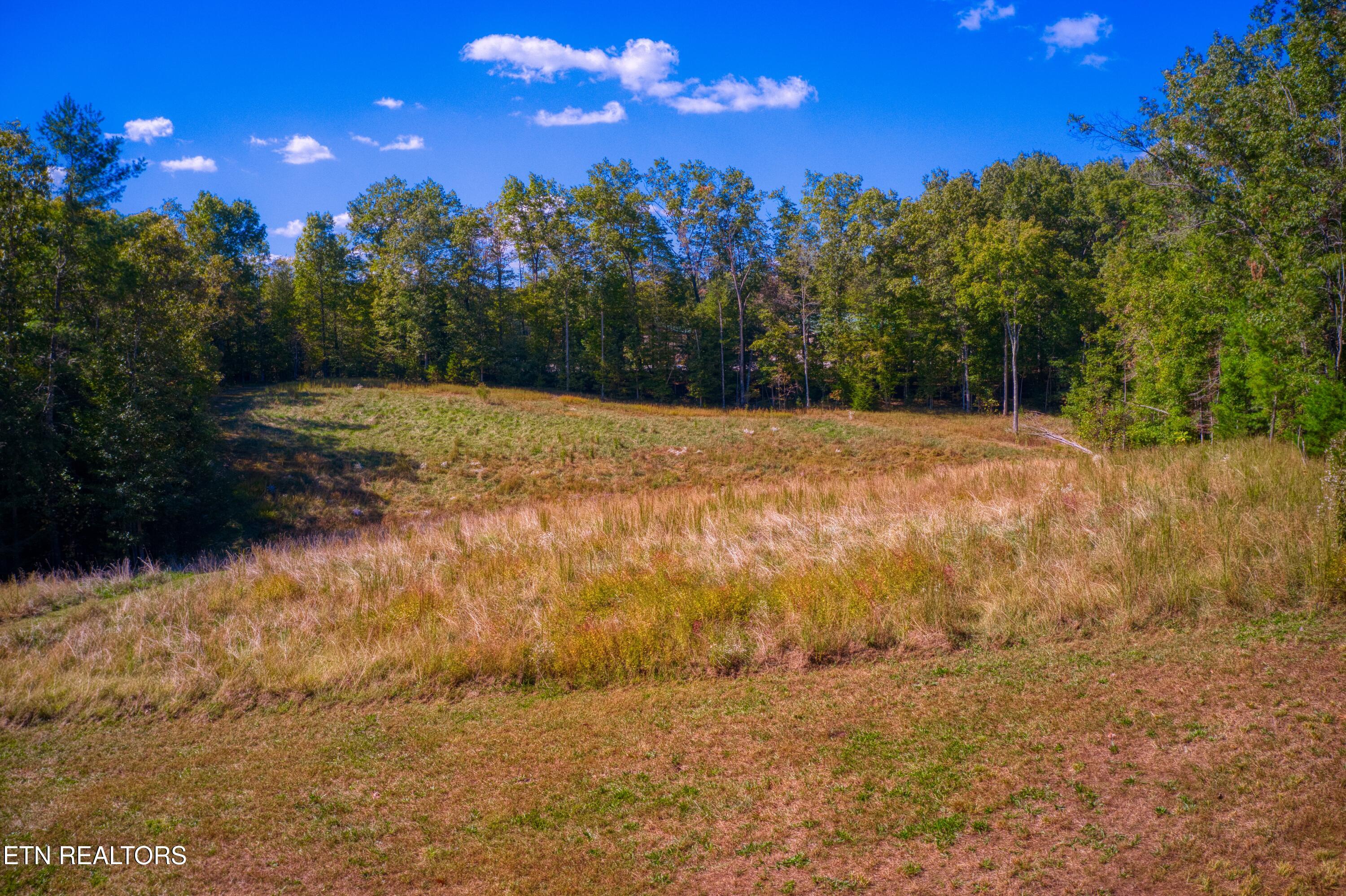 419 Palomino Run Jamestown TN 38556