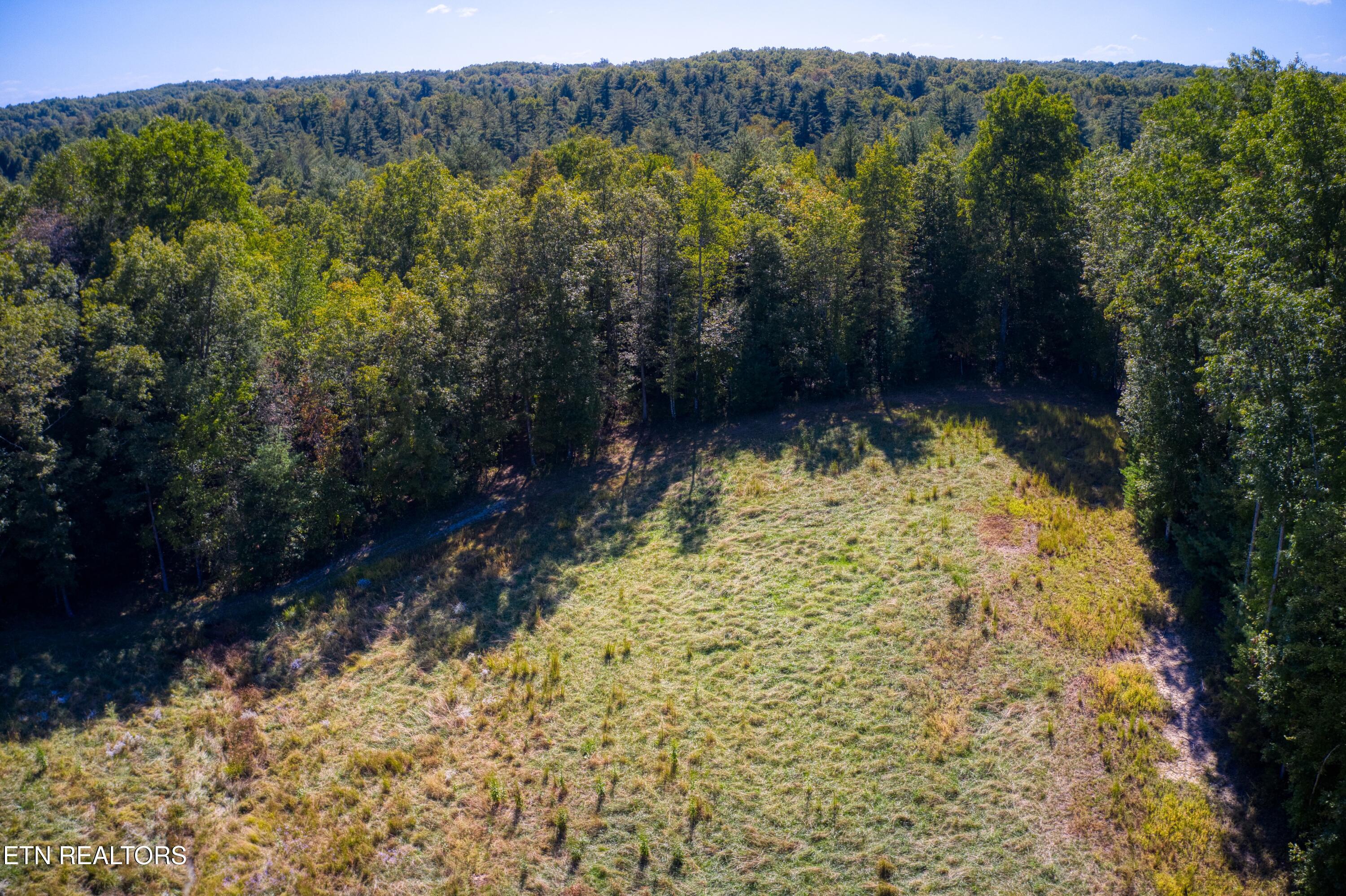 419 Palomino Run Jamestown TN 38556