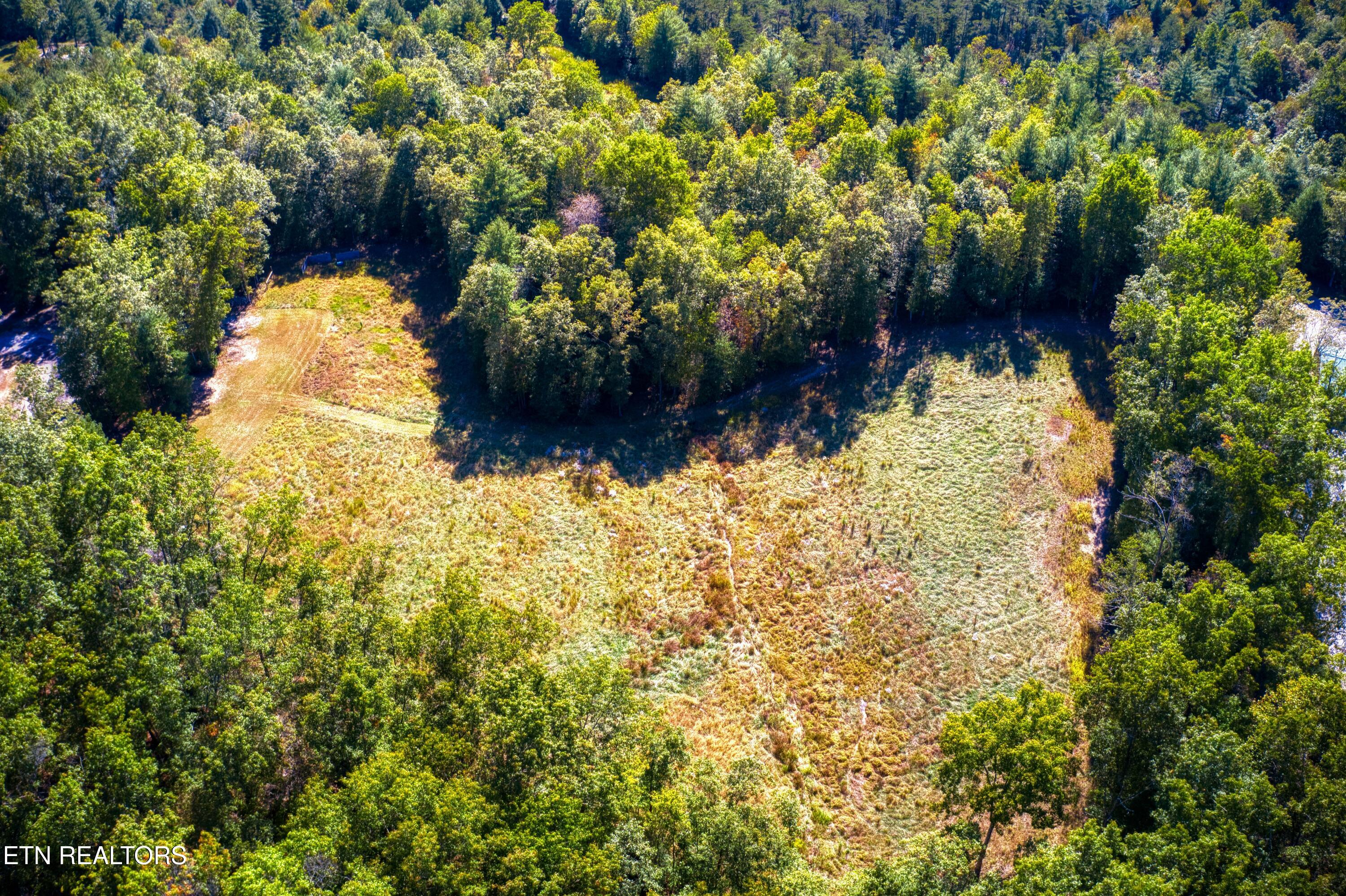 419 Palomino Run Jamestown TN 38556