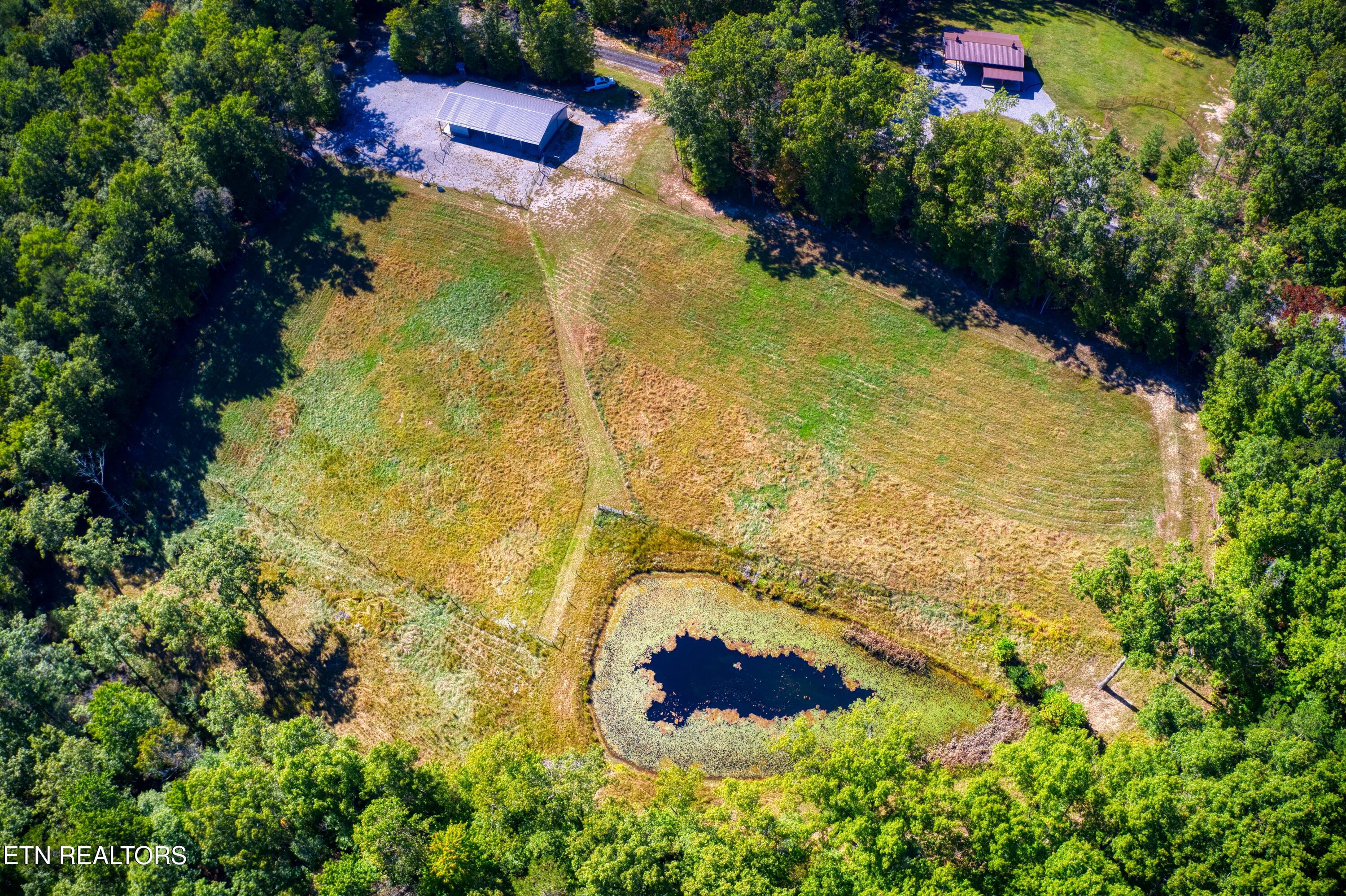 419 Palomino Run Jamestown TN 38556
