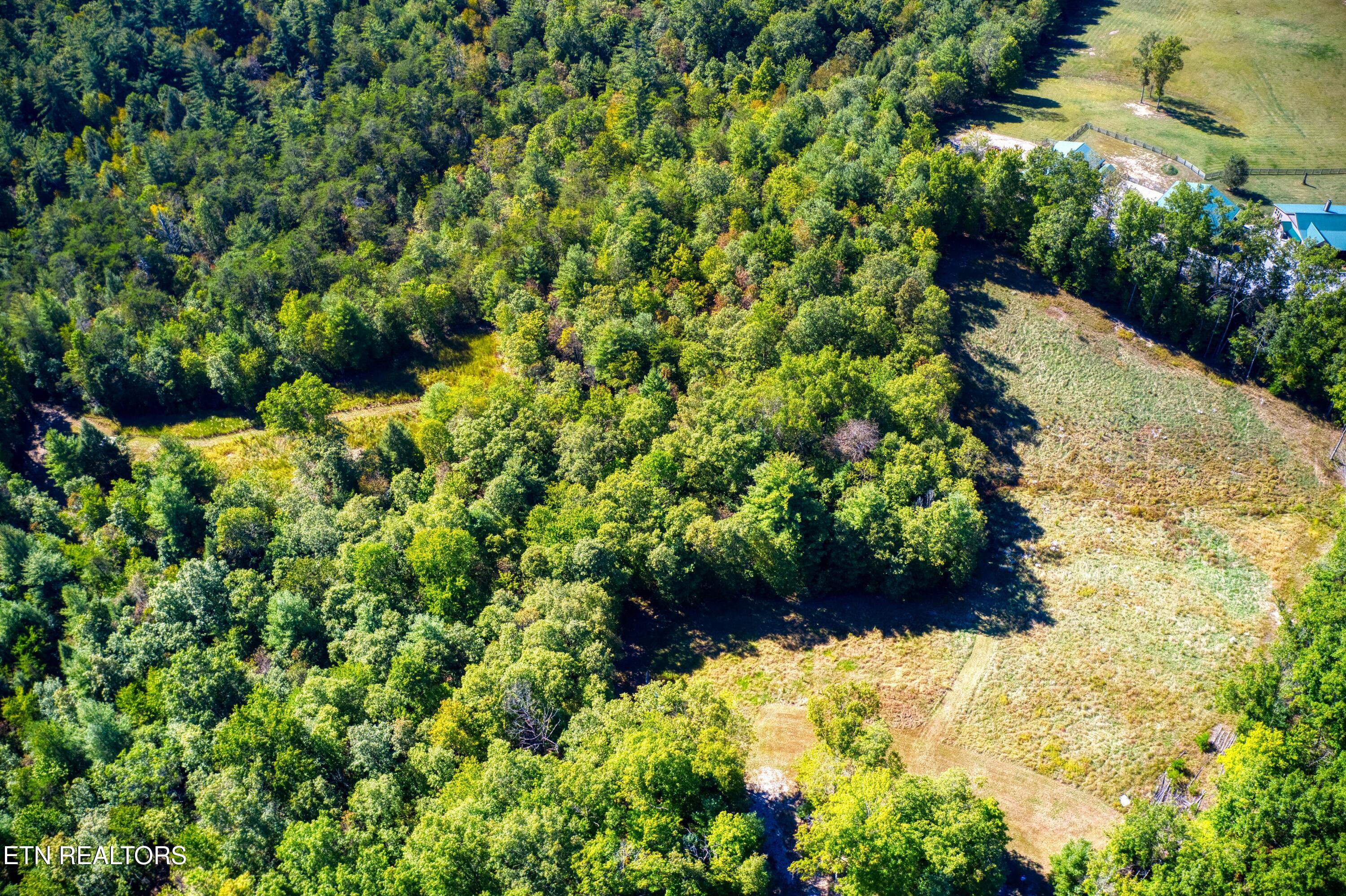 419 Palomino Run Jamestown TN 38556