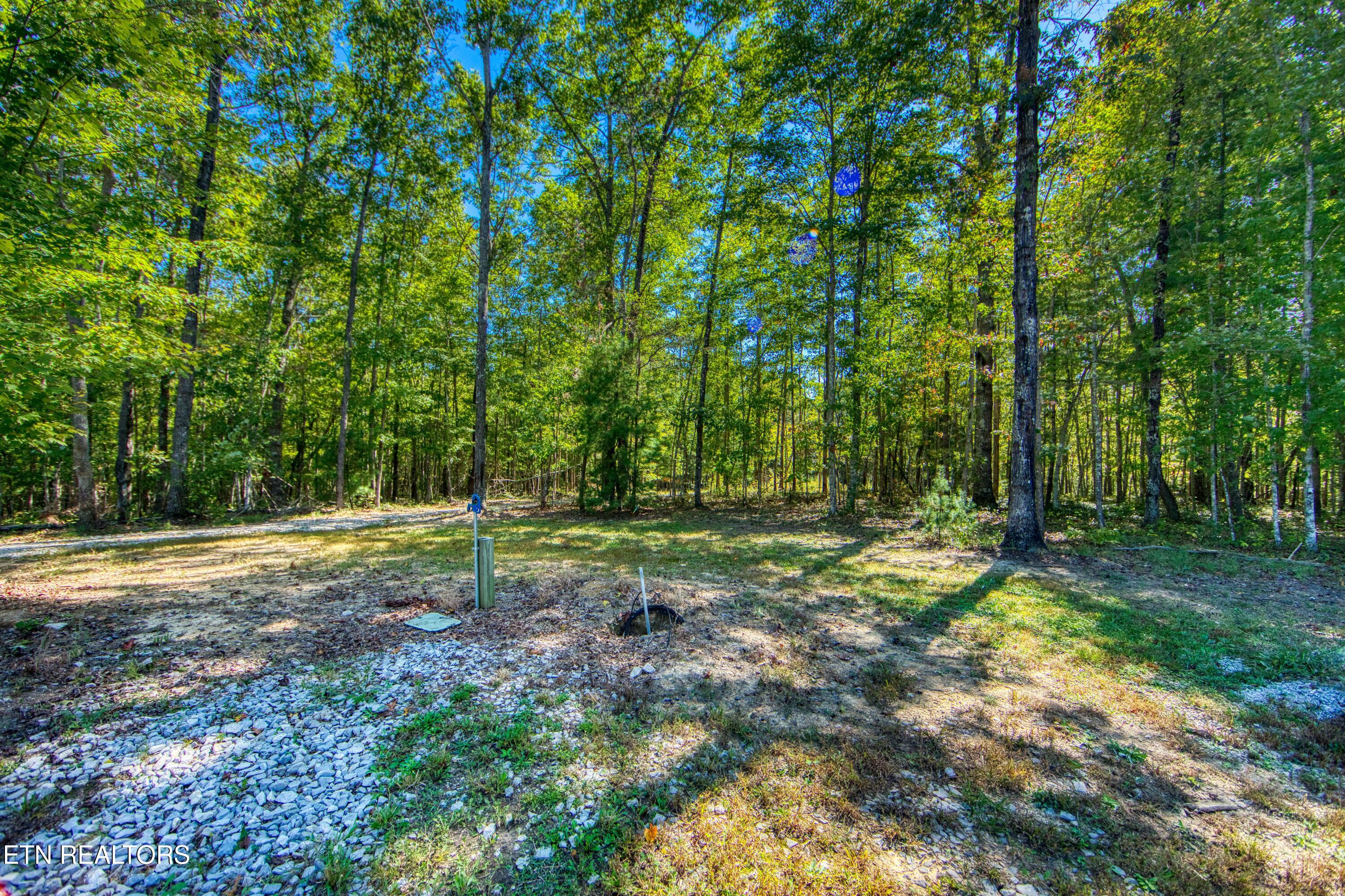 419 Palomino Run Jamestown TN 38556