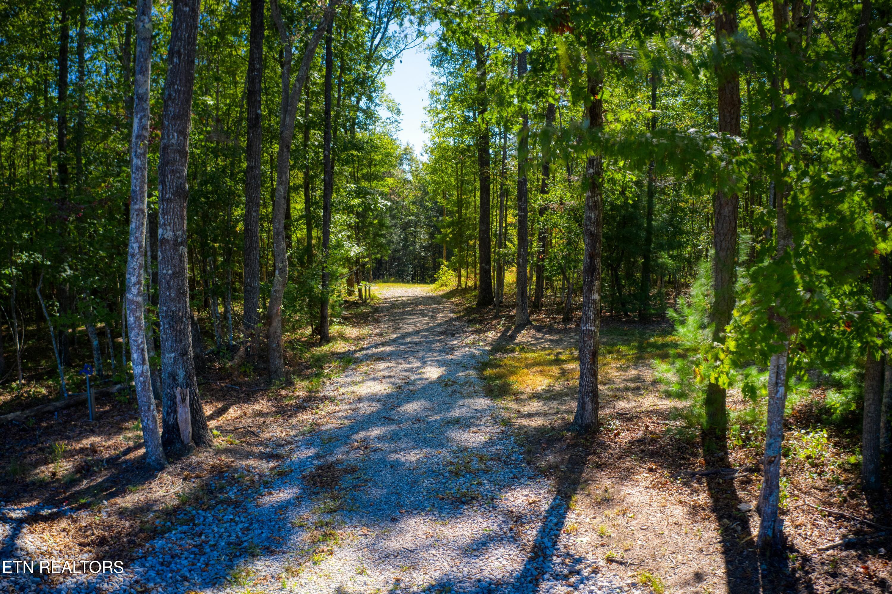 419 Palomino Run Jamestown TN 38556