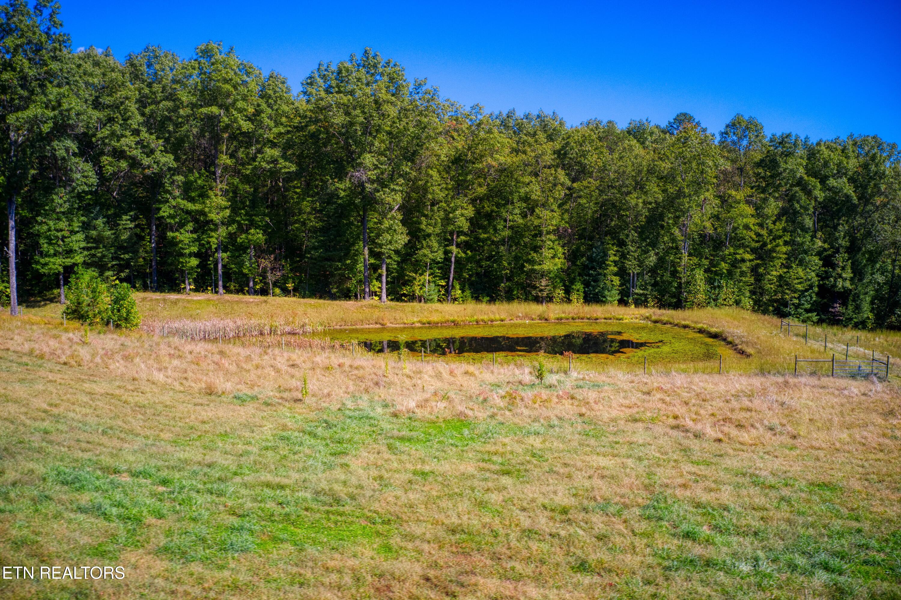 419 Palomino Run Jamestown TN 38556