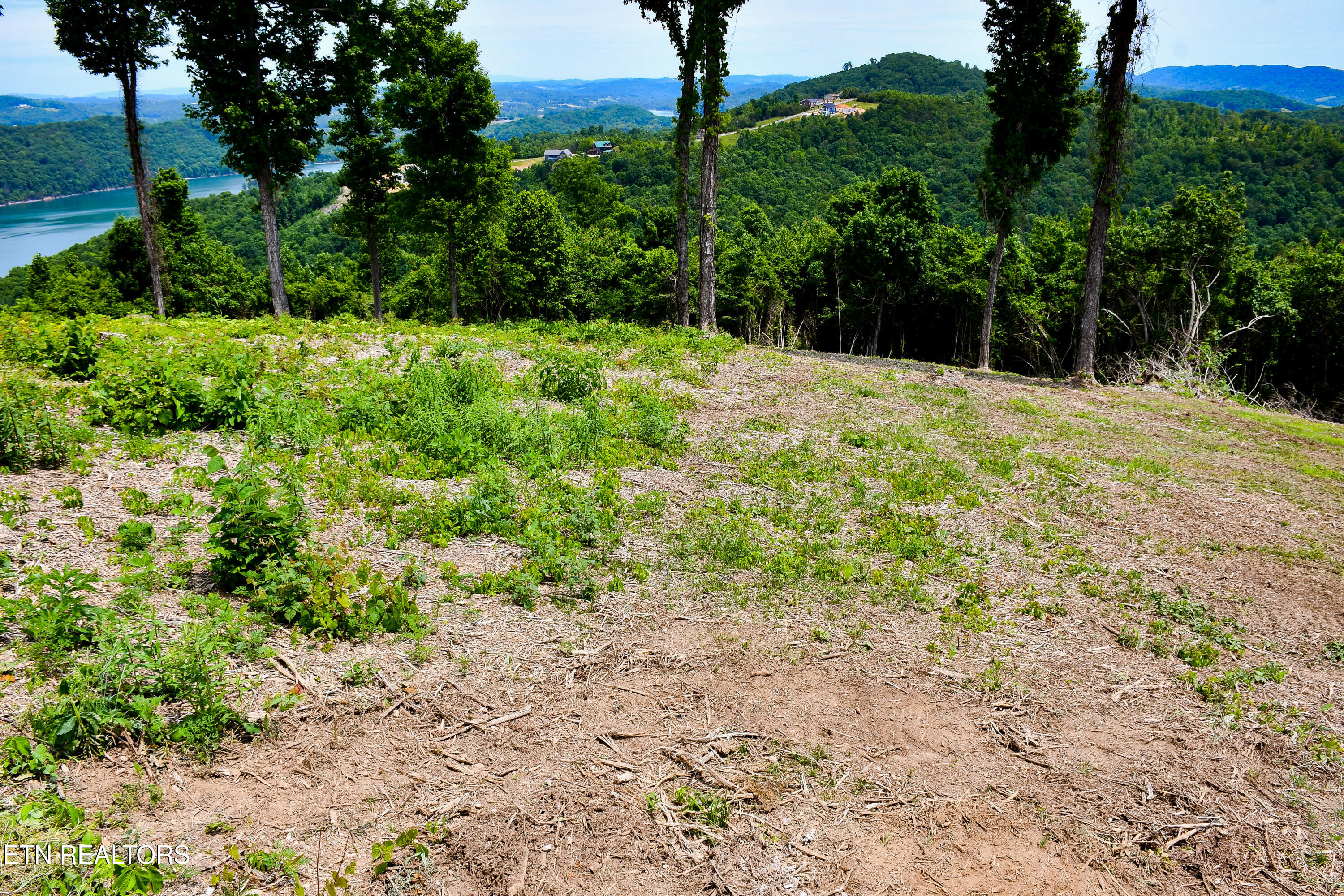 Lot 18 Crown Hill Maynardville TN 37807