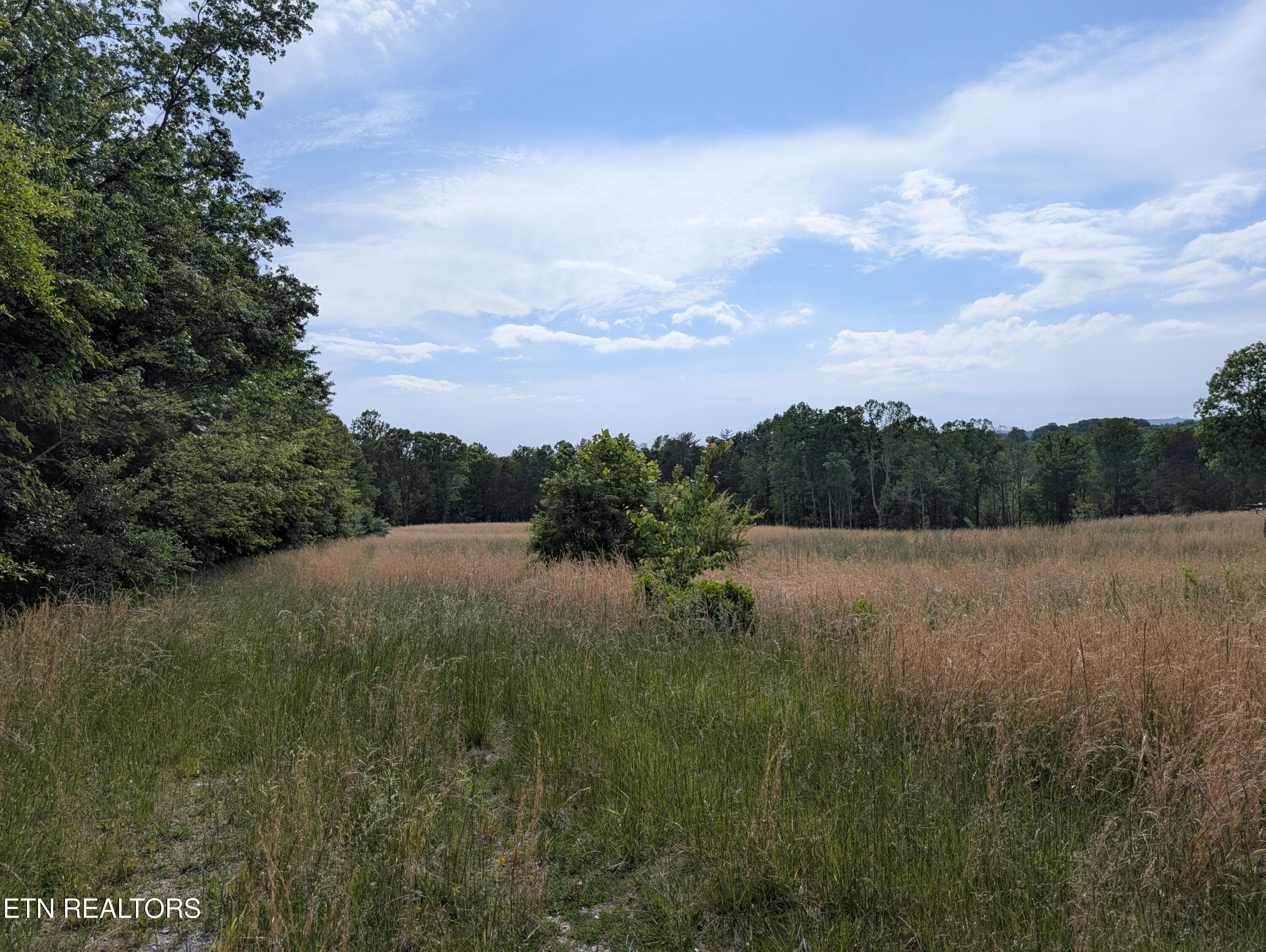 1615 Burdette Road Grandview TN 37337