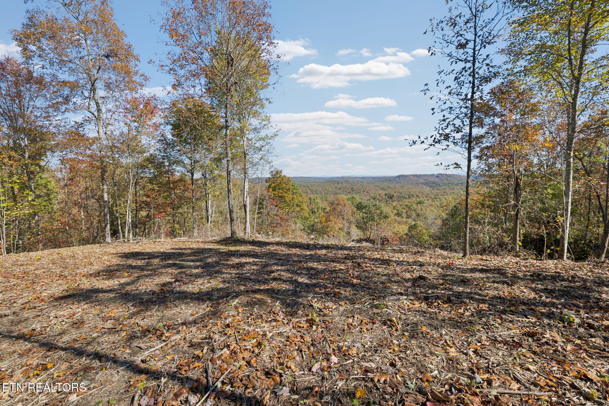 Sheep Ranch Road Robbins TN 37852