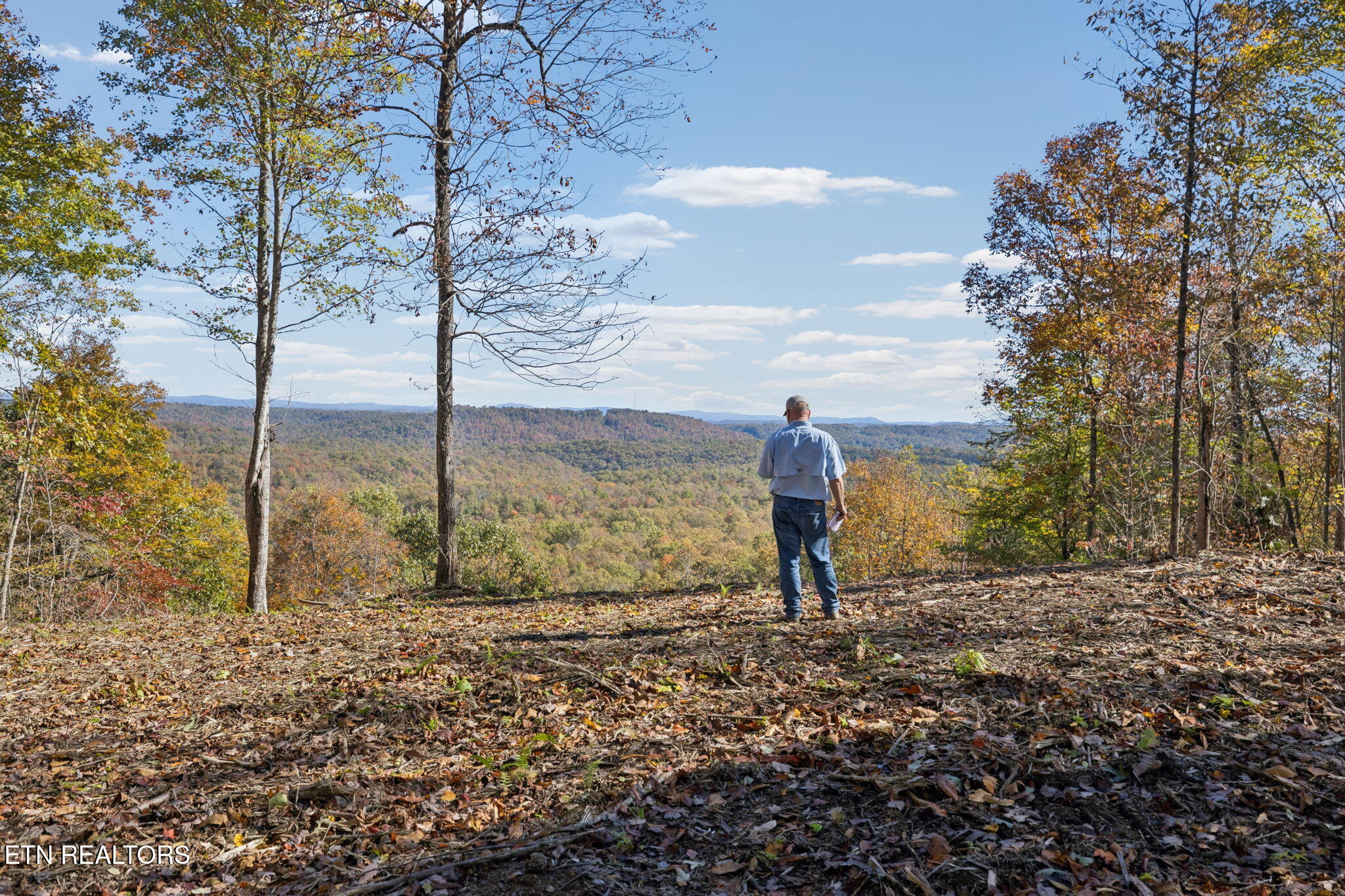 Sheep Ranch Road Robbins TN 37852
