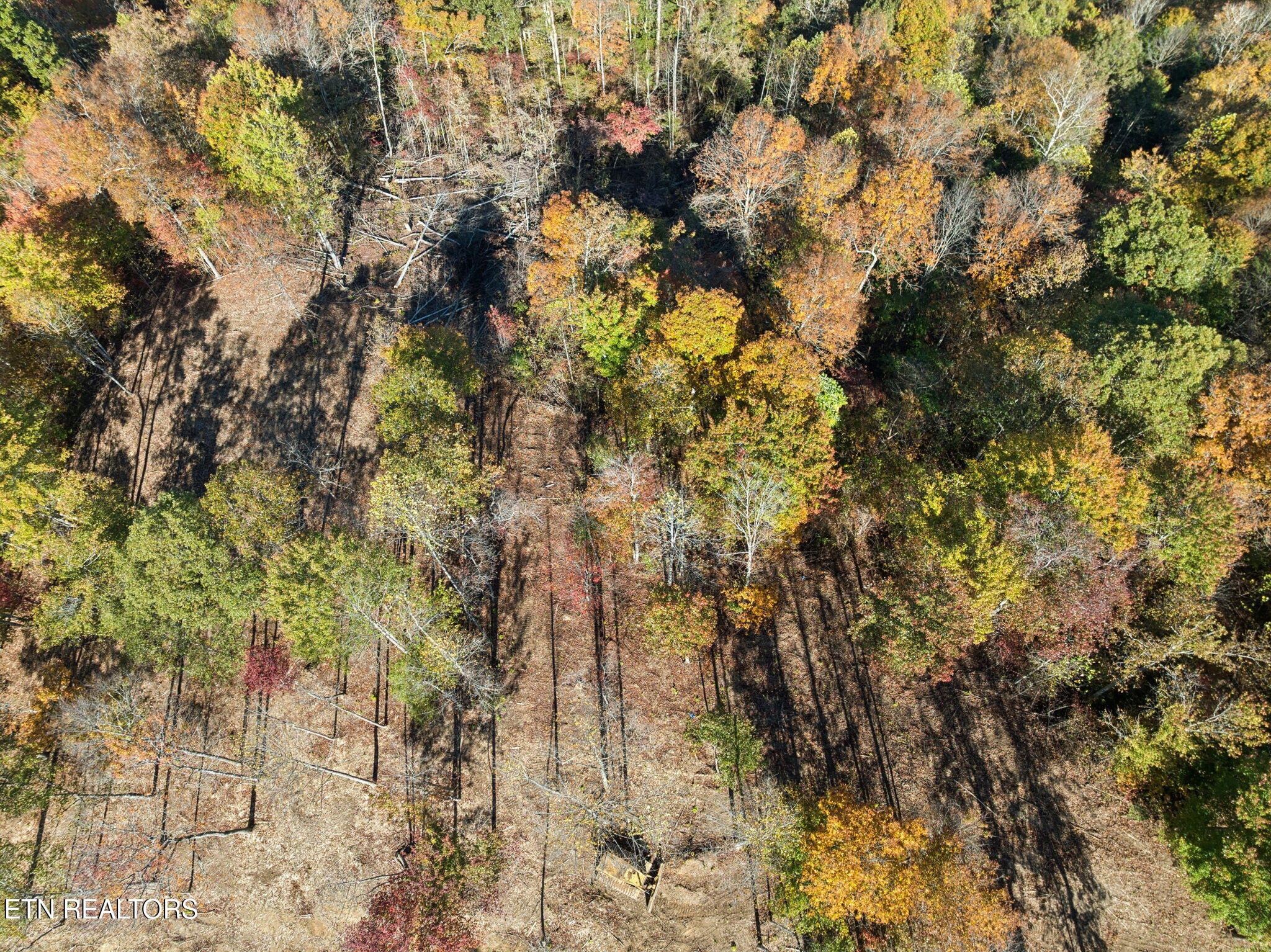 Sheep Ranch Road Robbins TN 37852
