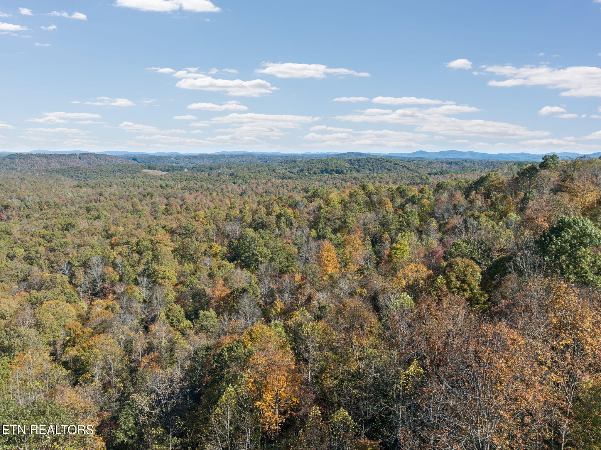 Sheep Ranch Road Robbins TN 37852
