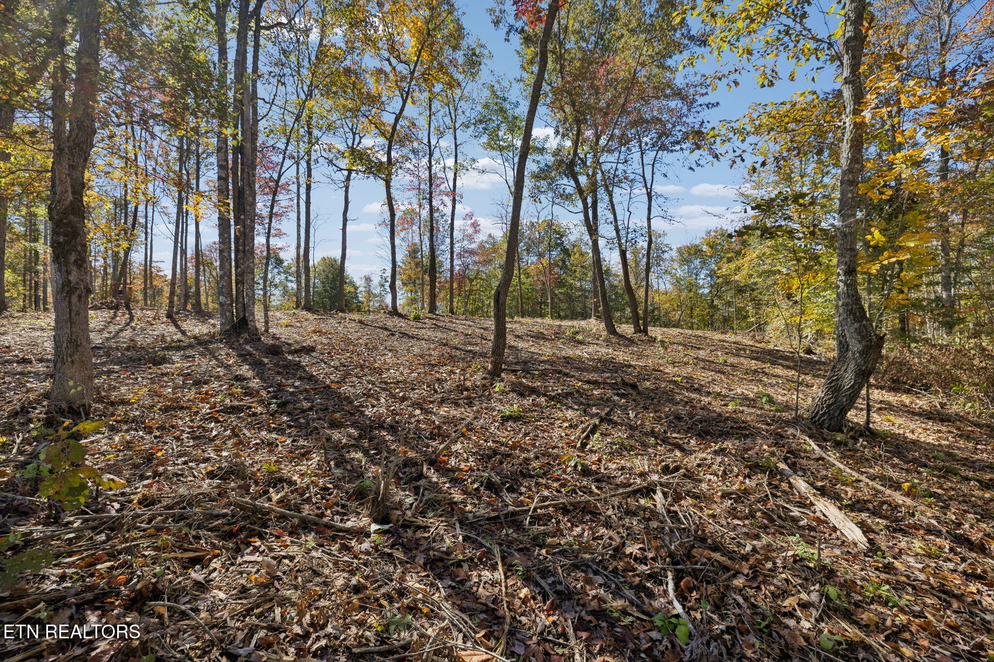 Sheep Ranch Road Robbins TN 37852