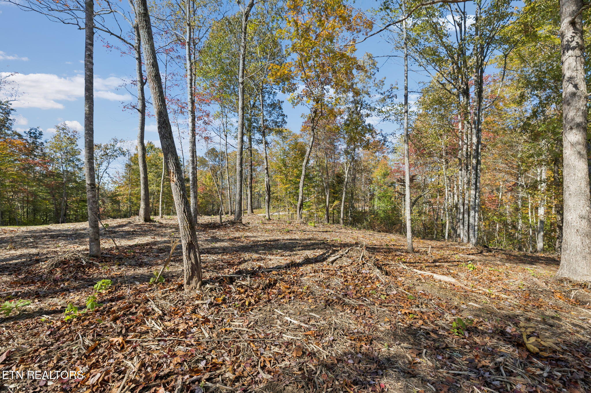 Sheep Ranch Road Robbins TN 37852