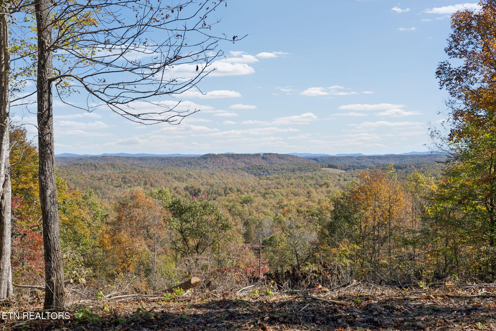 Sheep Ranch Road Robbins TN 37852
