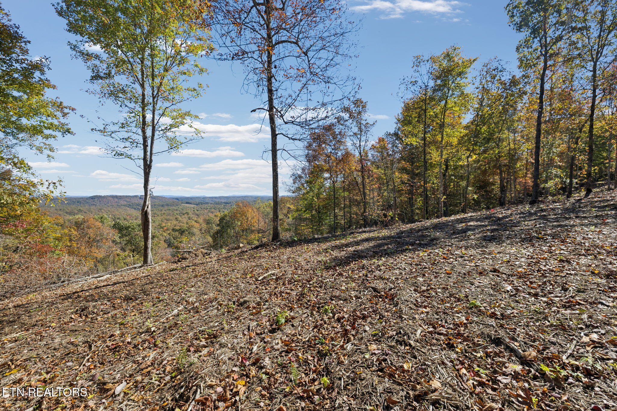 Sheep Ranch Road Robbins TN 37852