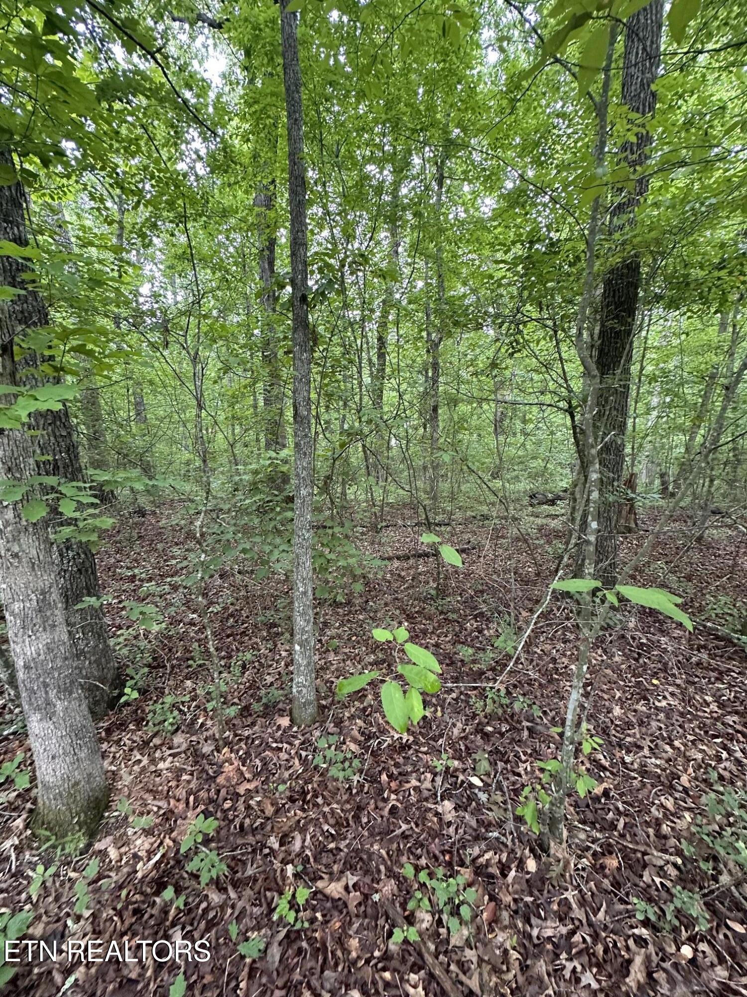935 Veho Circle Crossville TN 38572