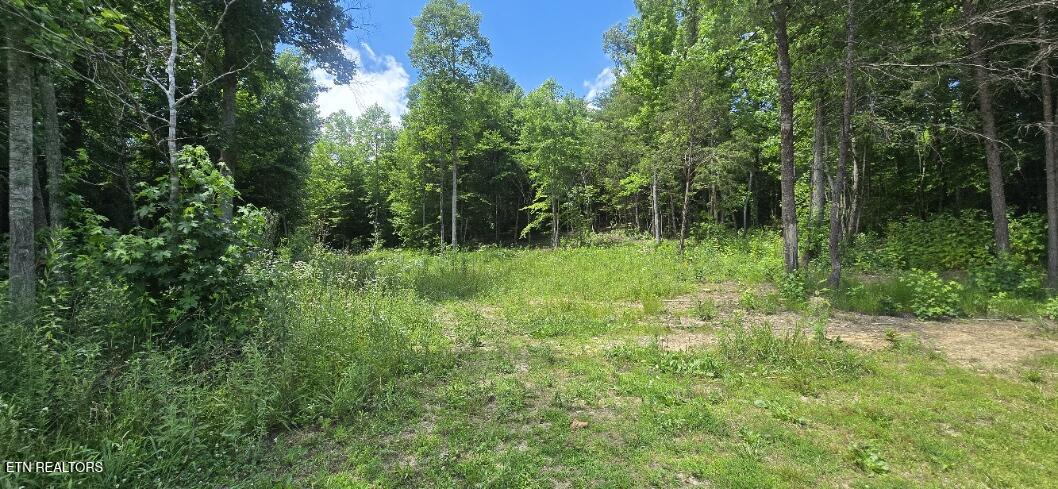 925 Anderson Hollow Road Huntsville TN 37756