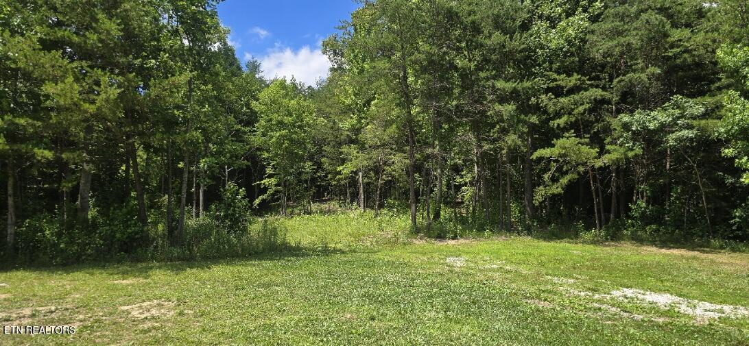 925 Anderson Hollow Road Huntsville TN 37756