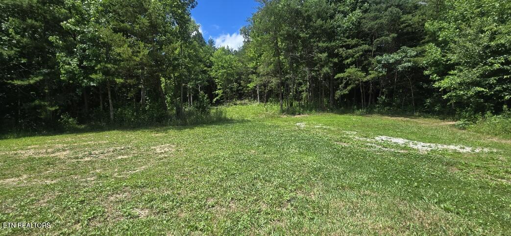 925 Anderson Hollow Road Huntsville TN 37756