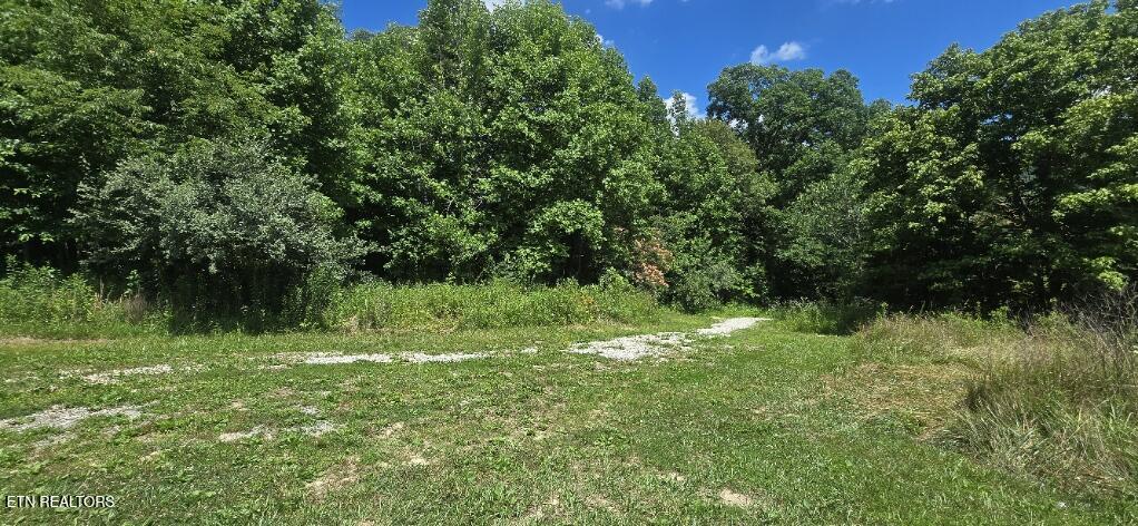 425 Anderson Hollow Road Huntsville TN 37756