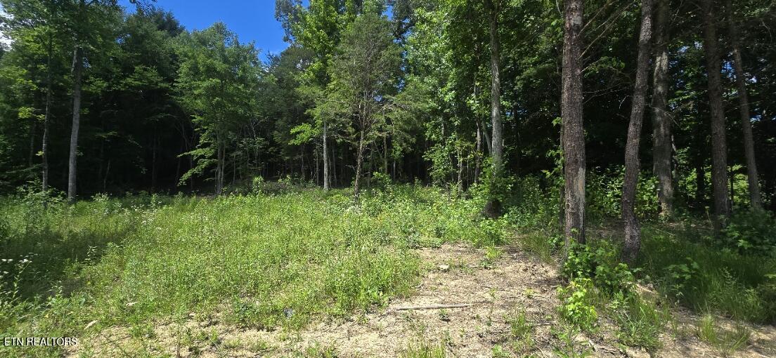 925 Anderson Hollow Road Huntsville TN 37756