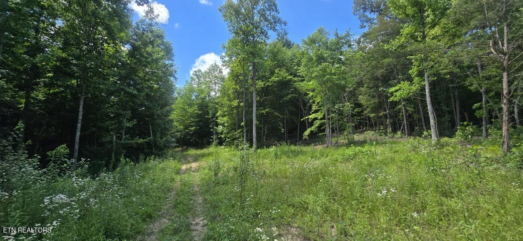 925 Anderson Hollow Road Huntsville TN 37756