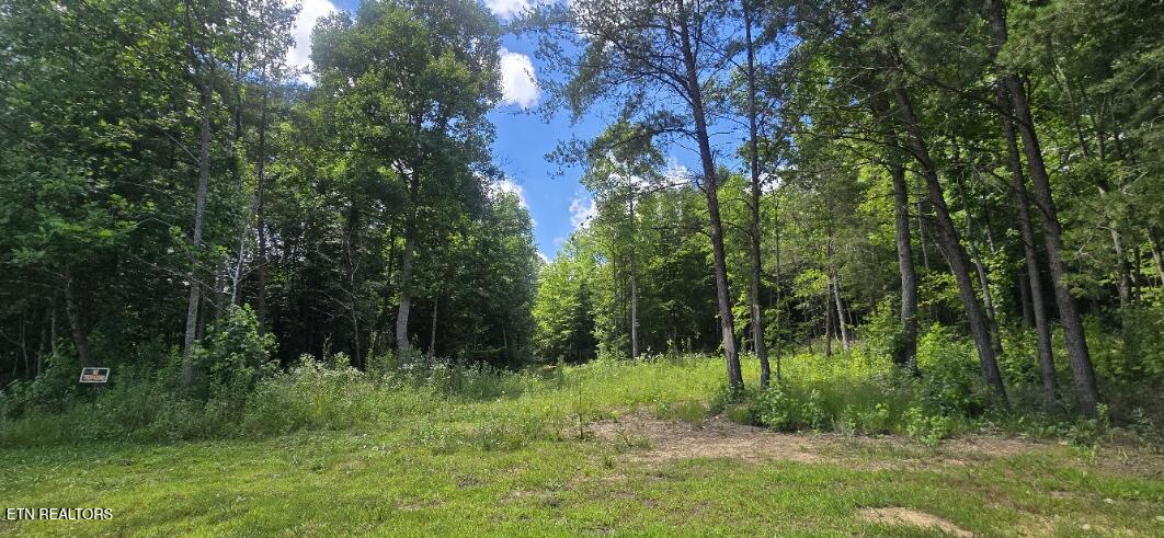 425 Anderson Hollow Road Huntsville TN 37756
