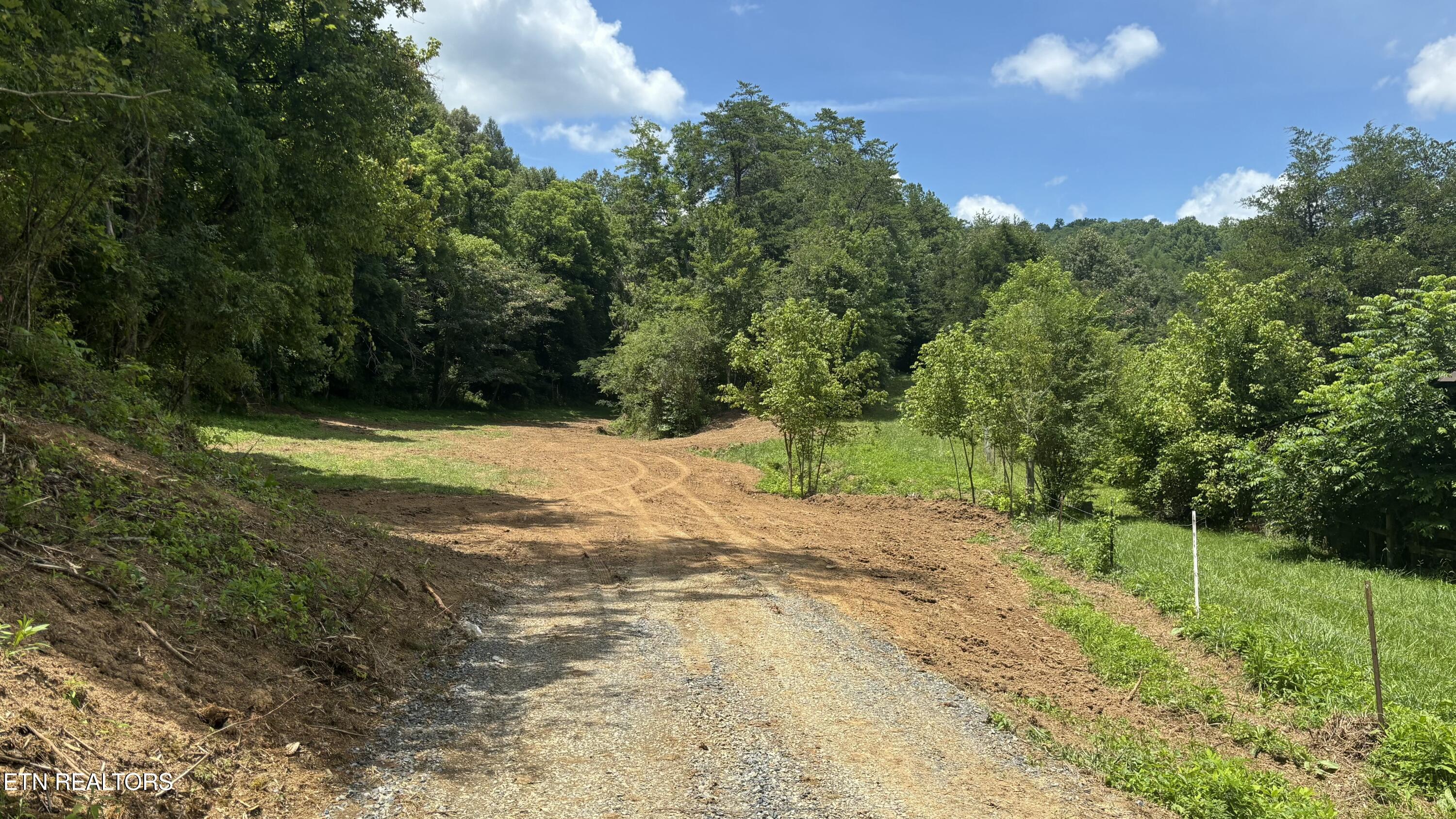 Bogard Road Cosby TN 37722