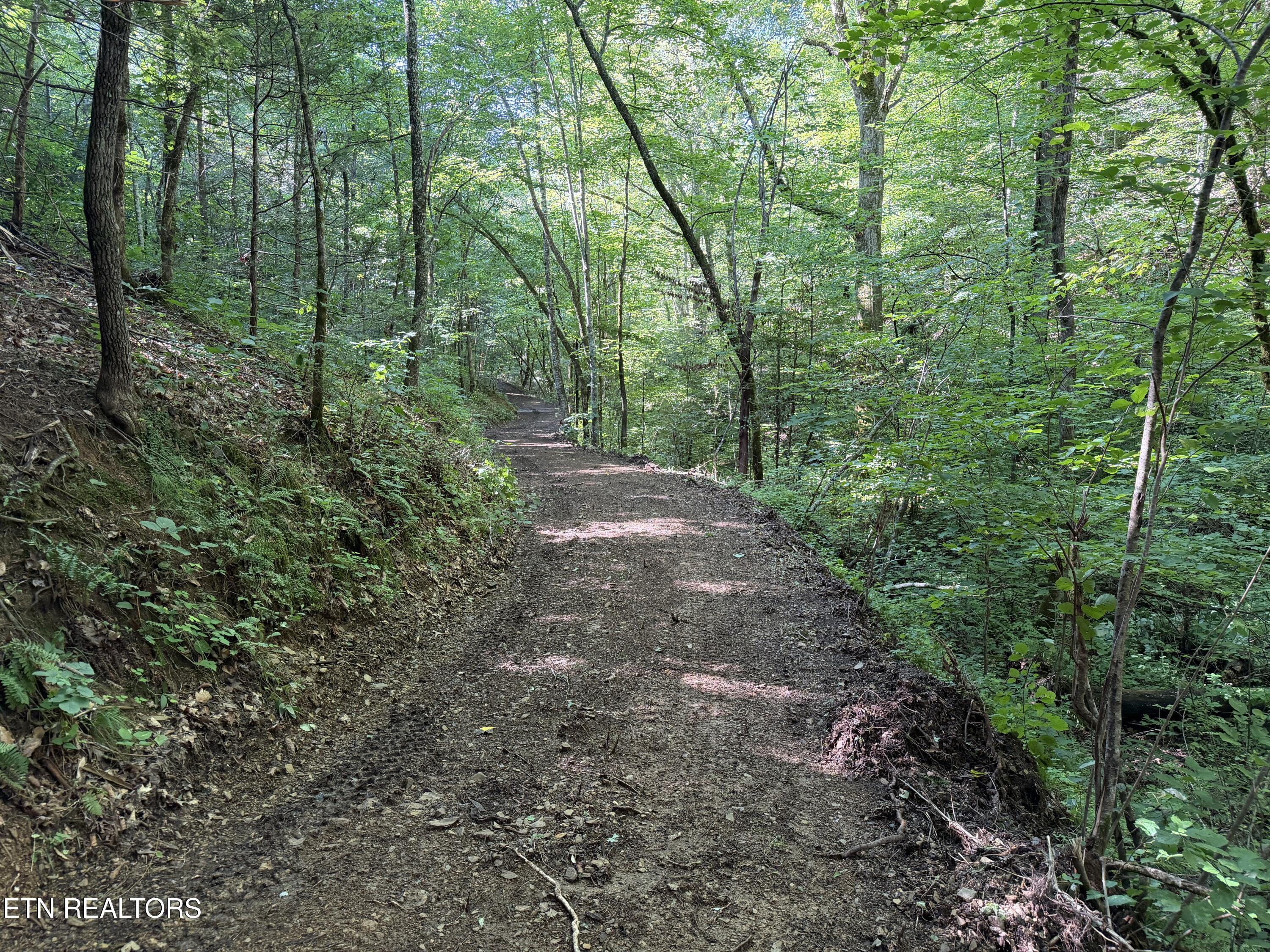 Bogard Road Cosby TN 37722