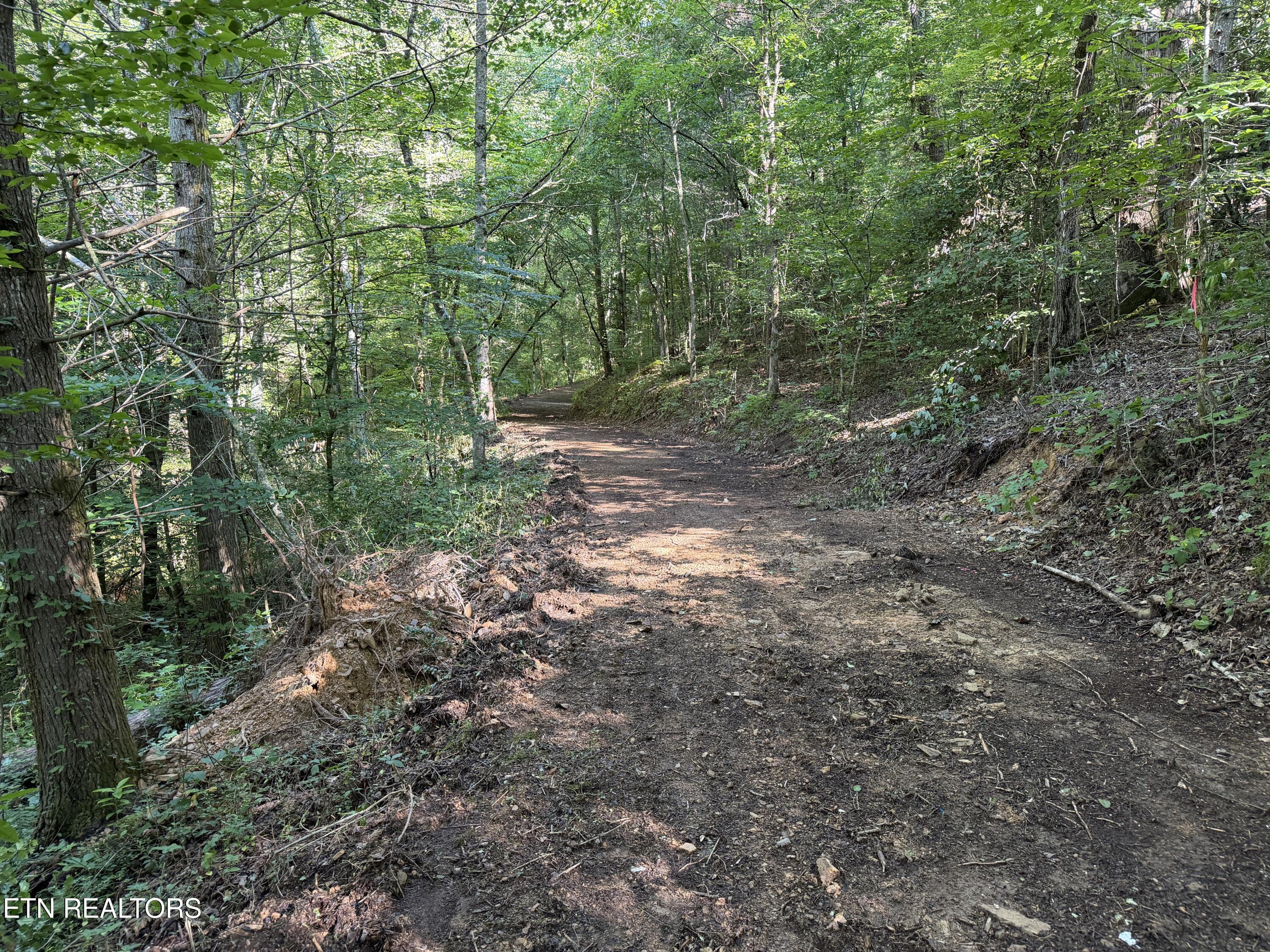 Bogard Road Cosby TN 37722