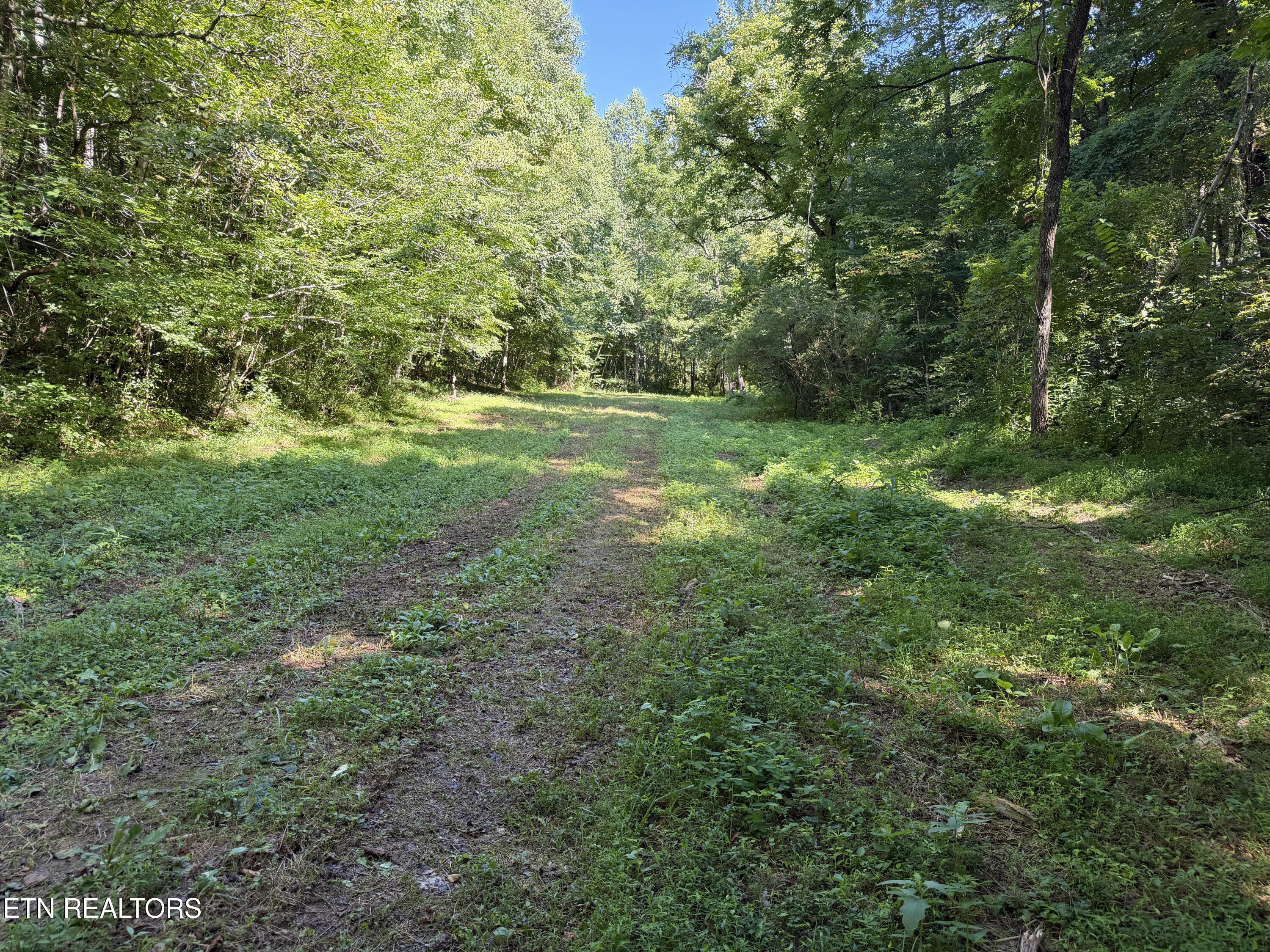 Bogard Road Cosby TN 37722