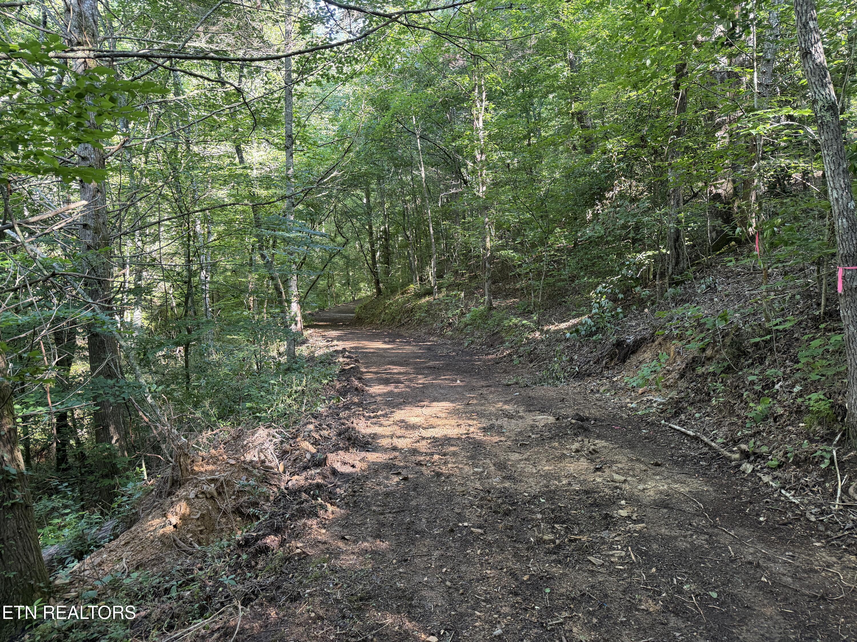 Bogard Road Cosby TN 37722