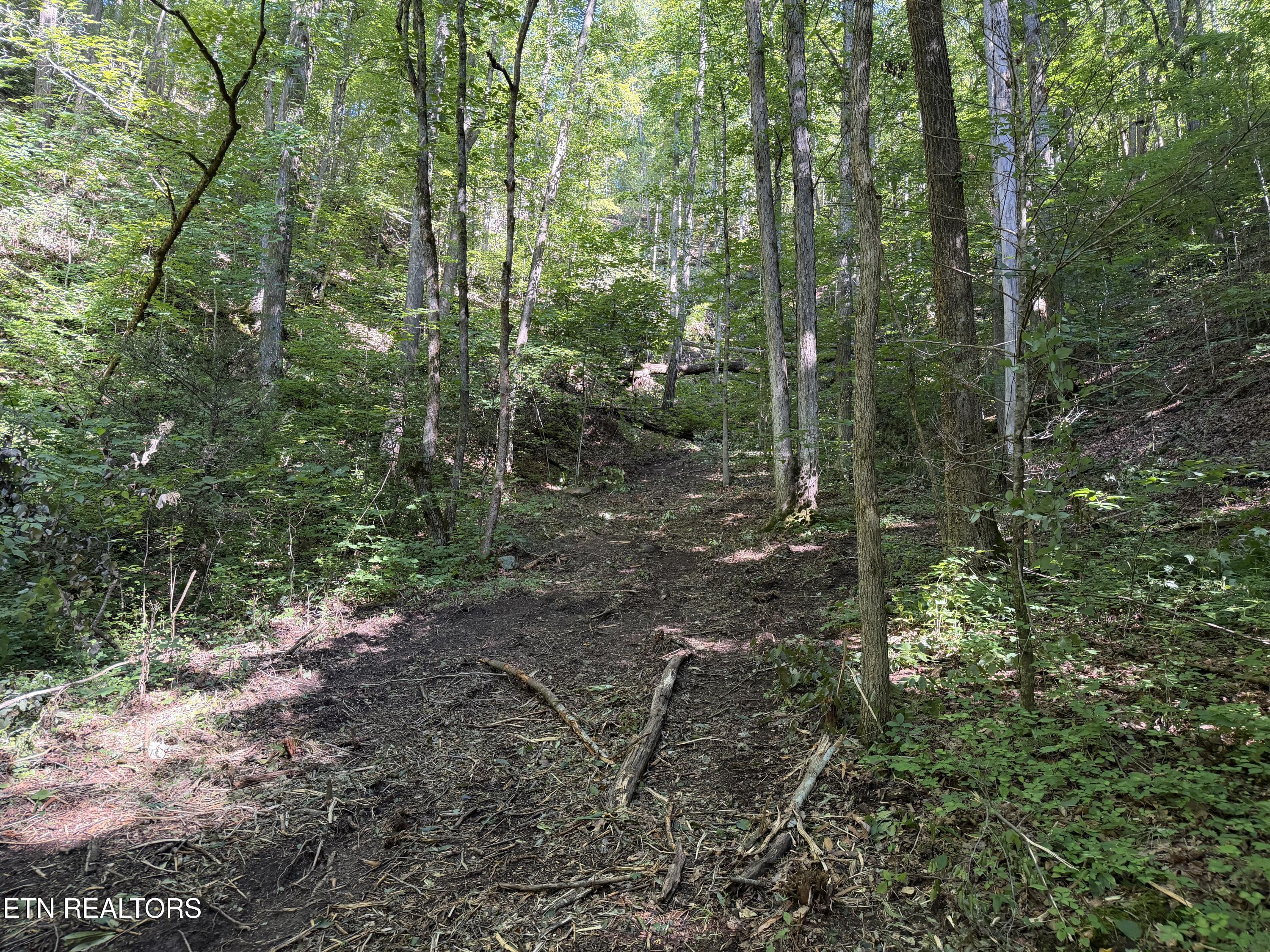 Bogard Road Cosby TN 37722