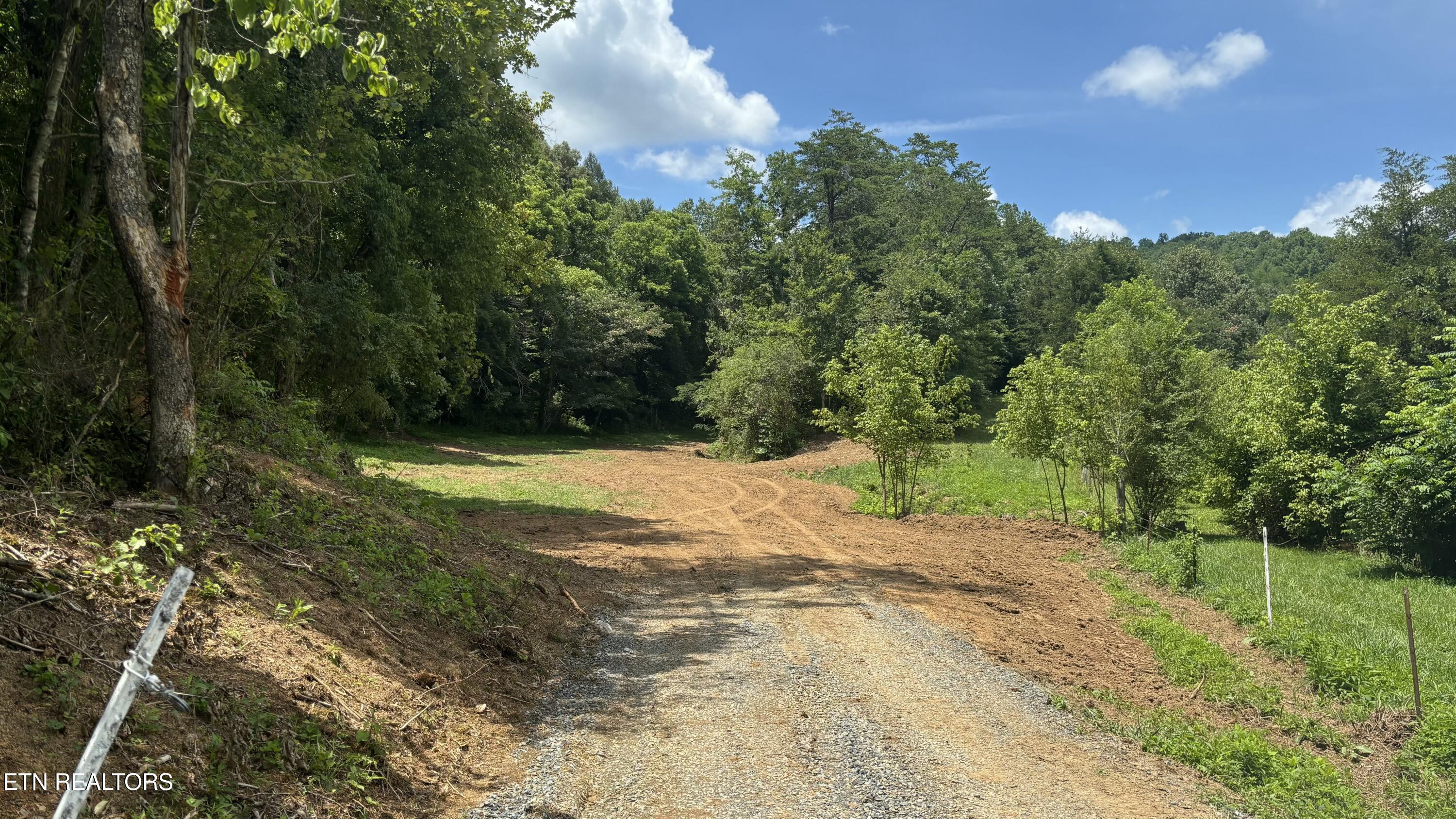 Bogard Road Cosby TN 37722