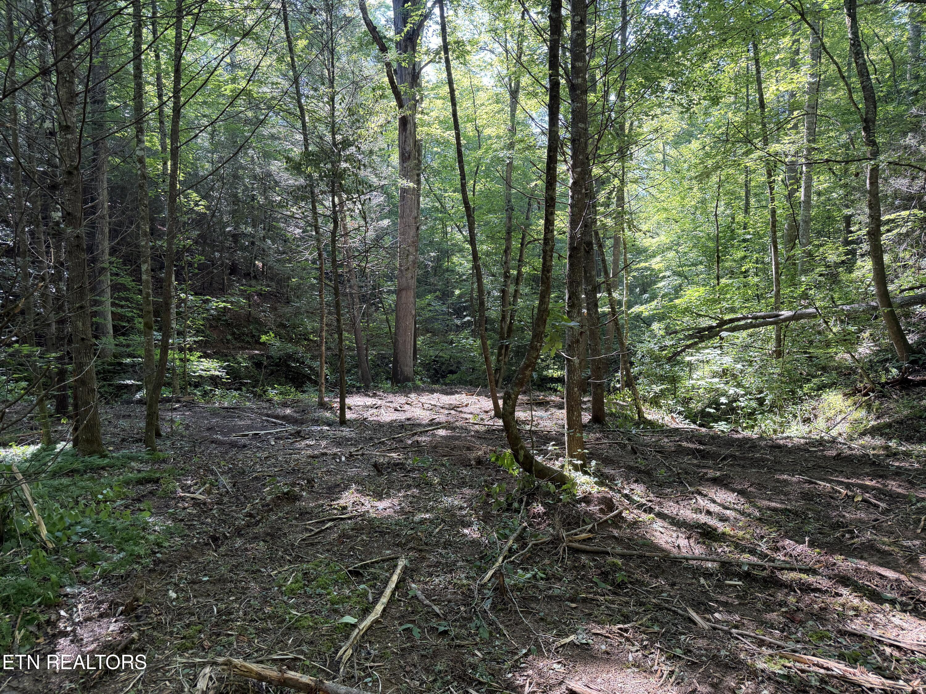 Bogard Road Cosby TN 37722