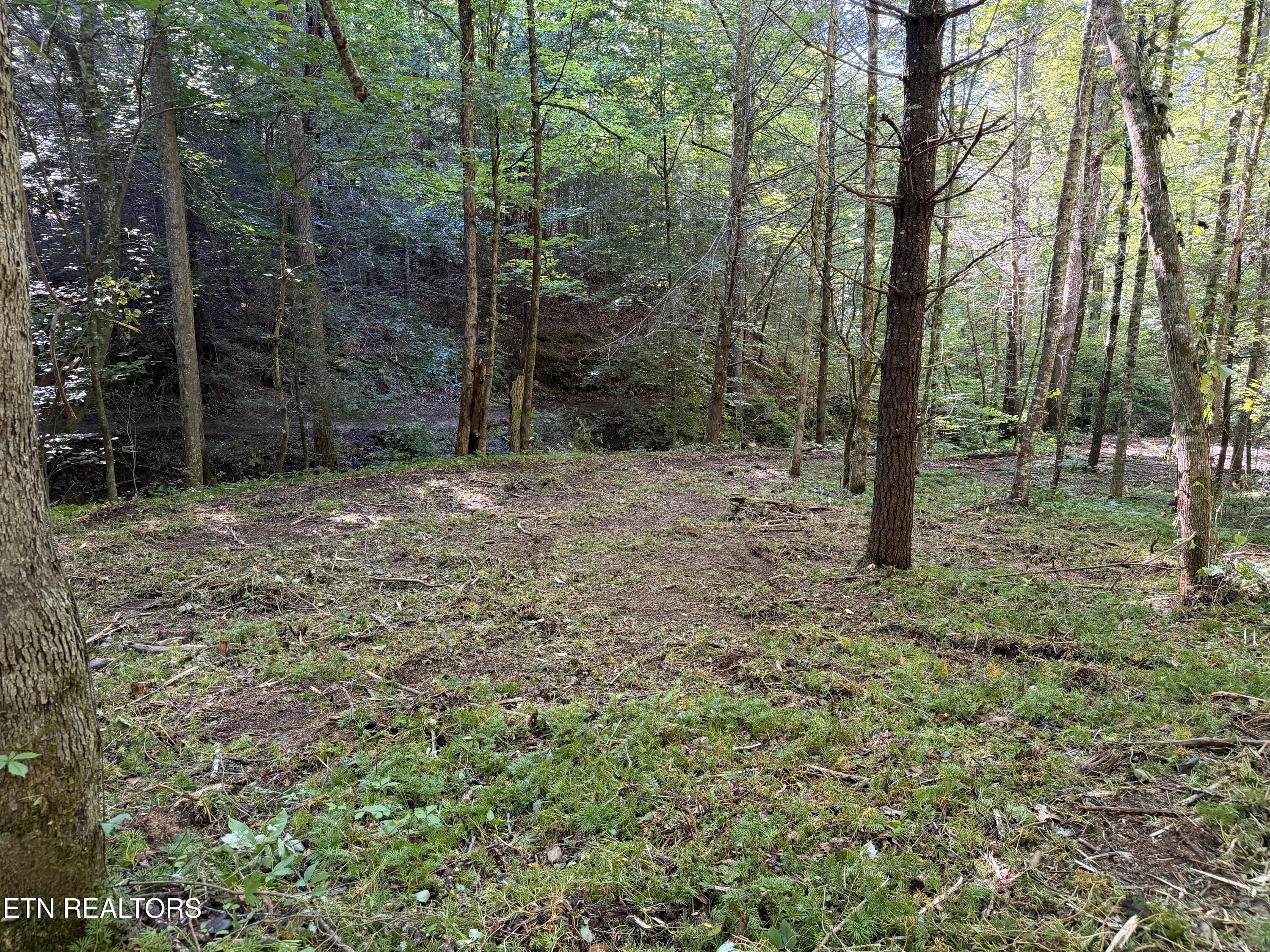 Bogard Road Cosby TN 37722