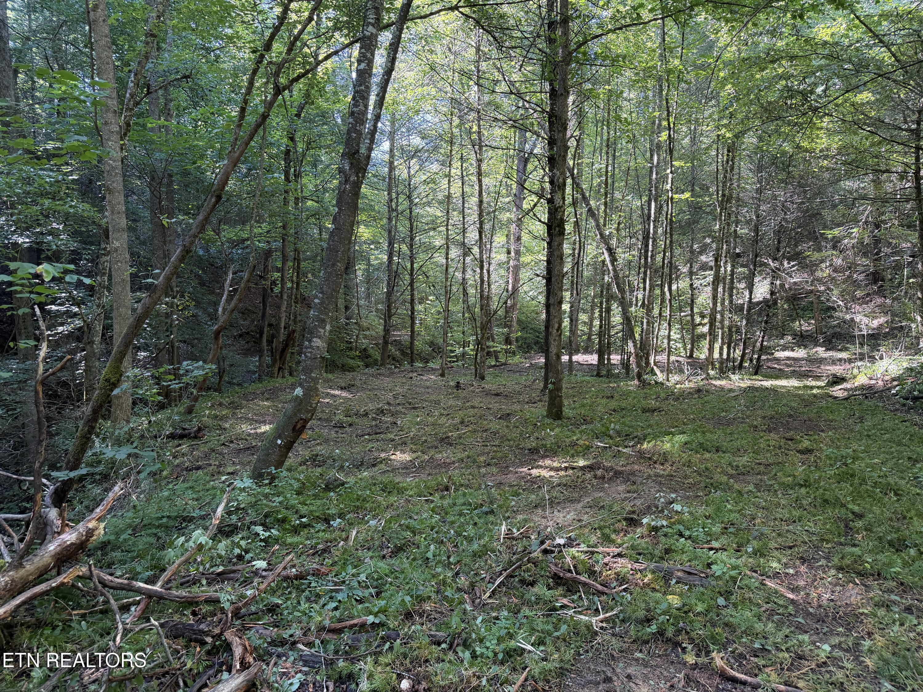 Bogard Road Cosby TN 37722
