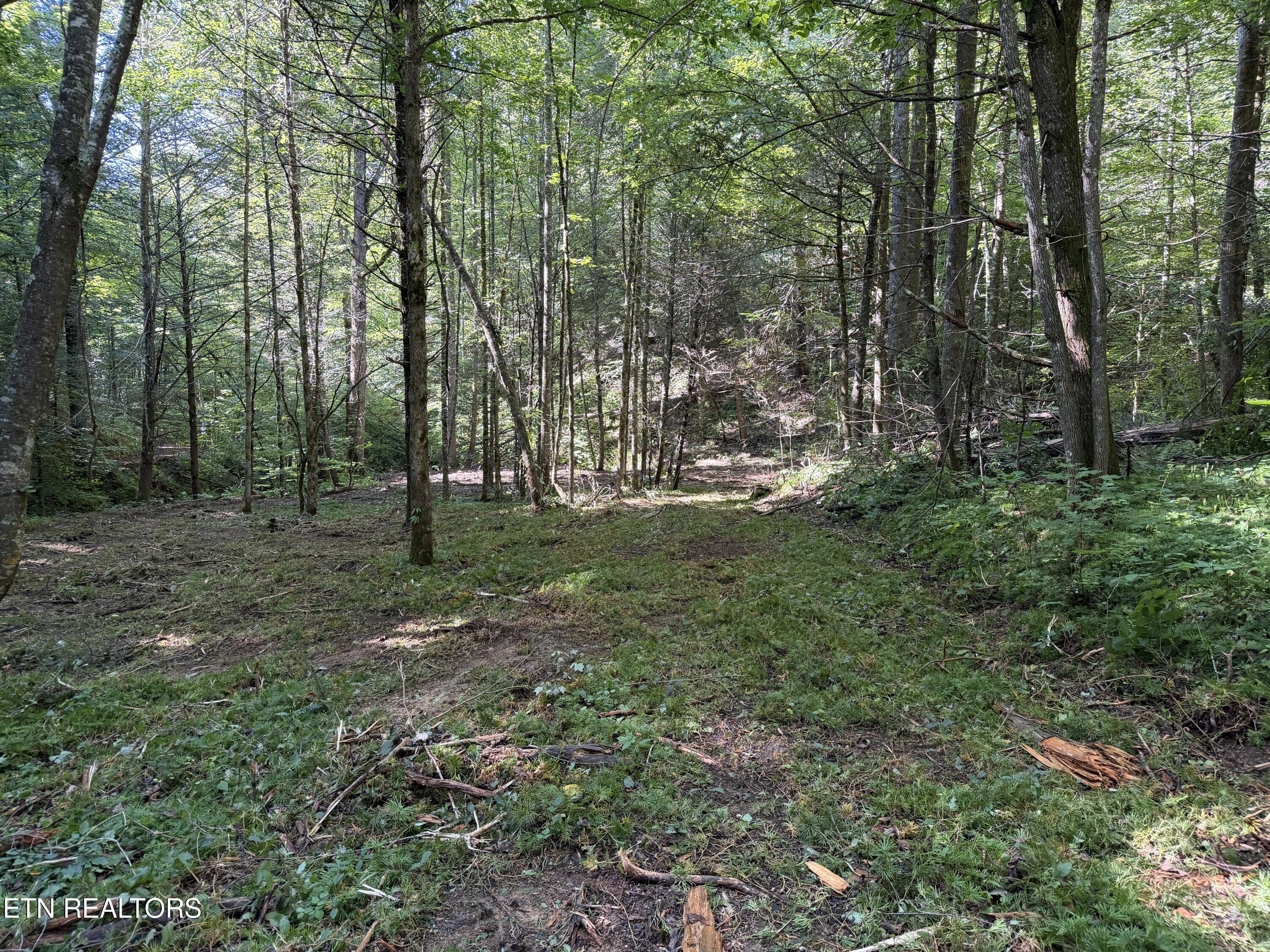 Bogard Road Cosby TN 37722