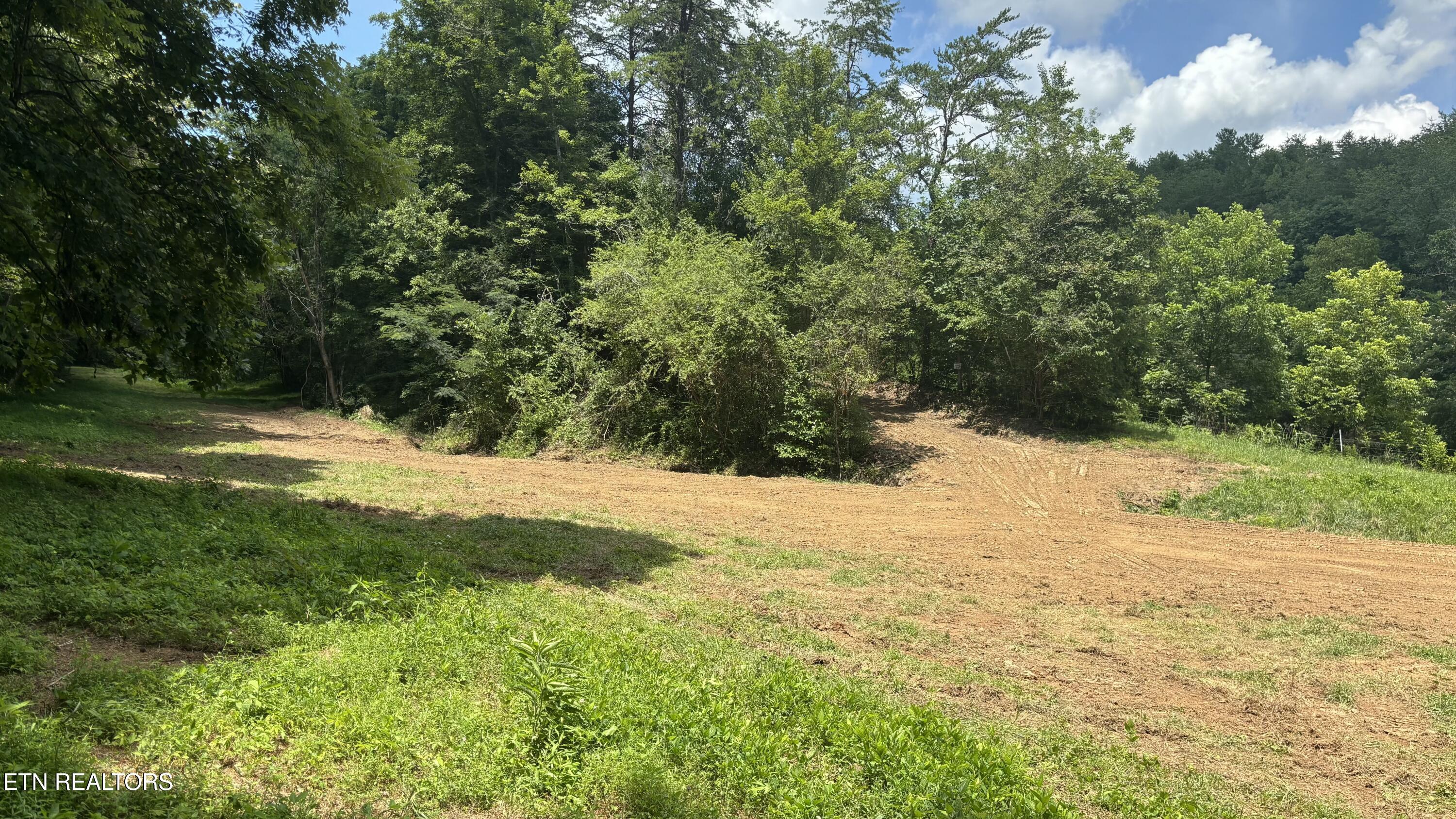 Bogard Road Cosby TN 37722