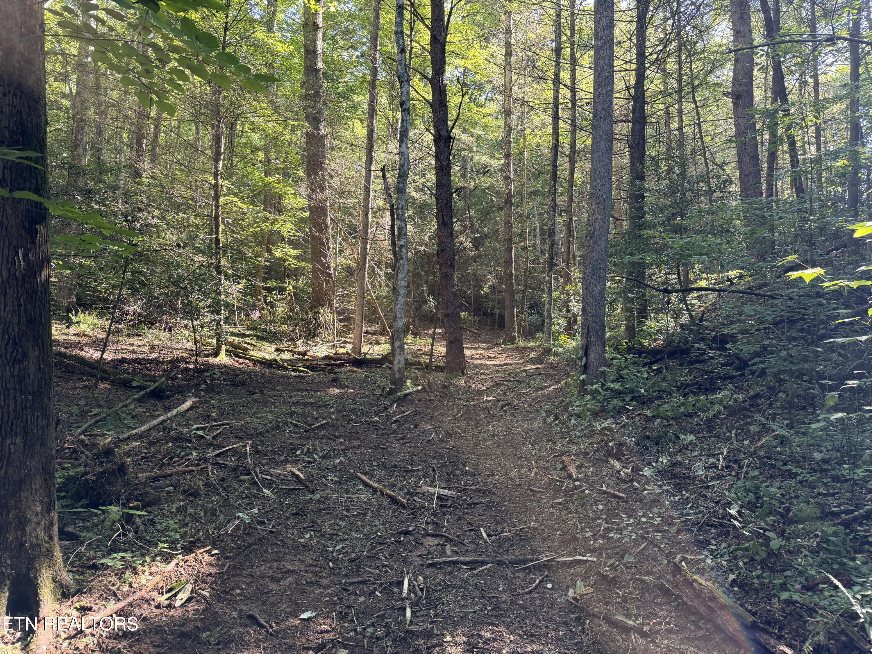 Bogard Road Cosby TN 37722