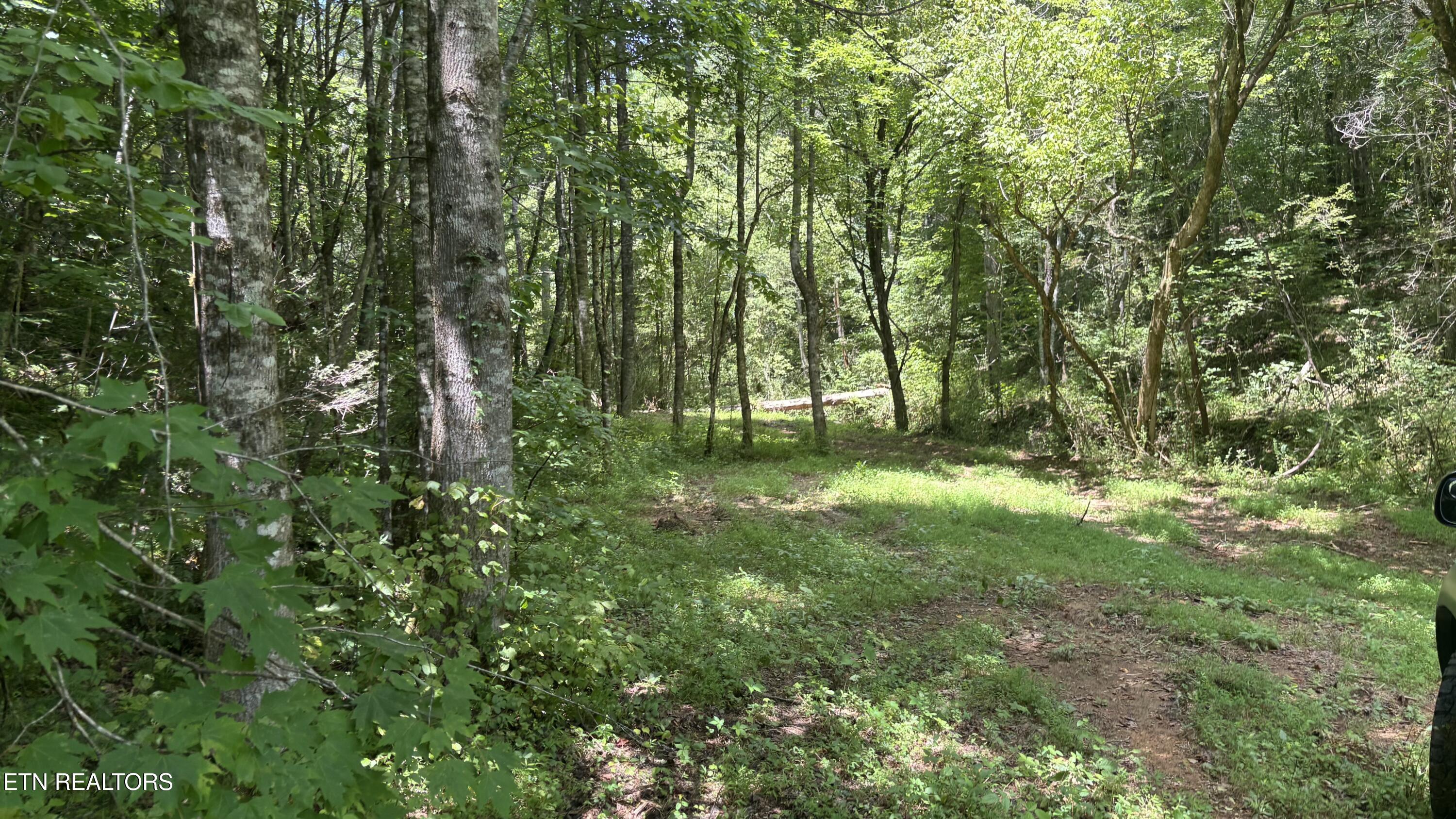 Bogard Road Cosby TN 37722