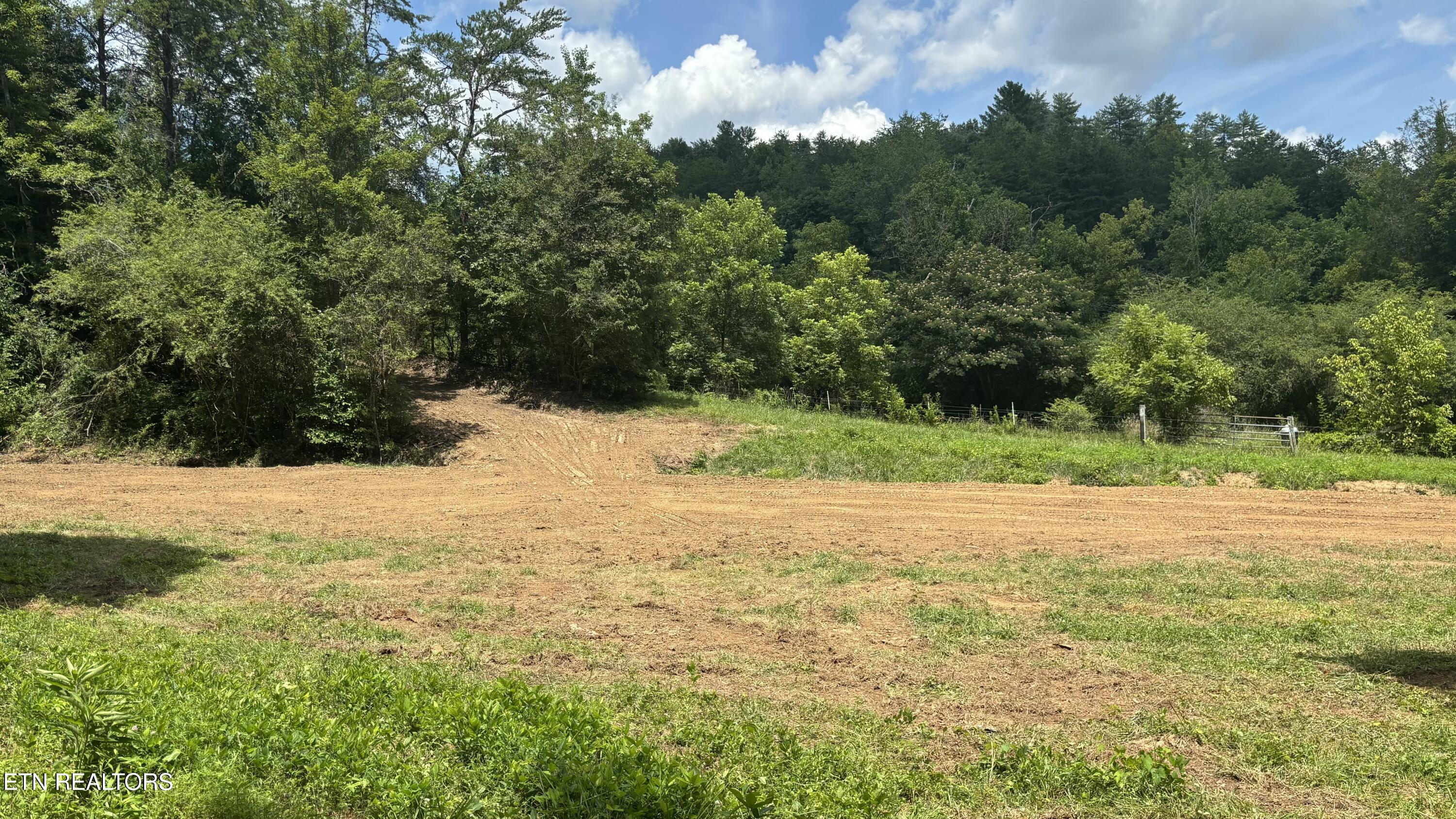 Bogard Road Cosby TN 37722