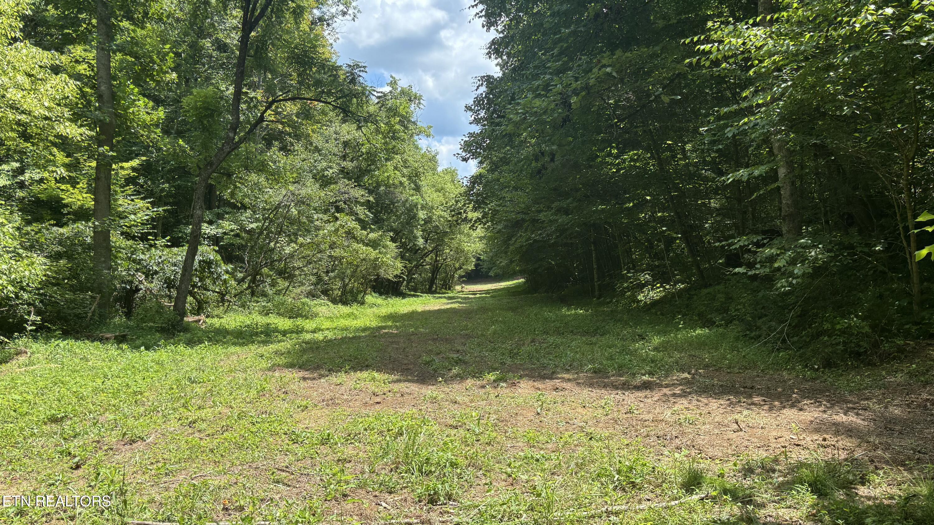 Bogard Road Cosby TN 37722