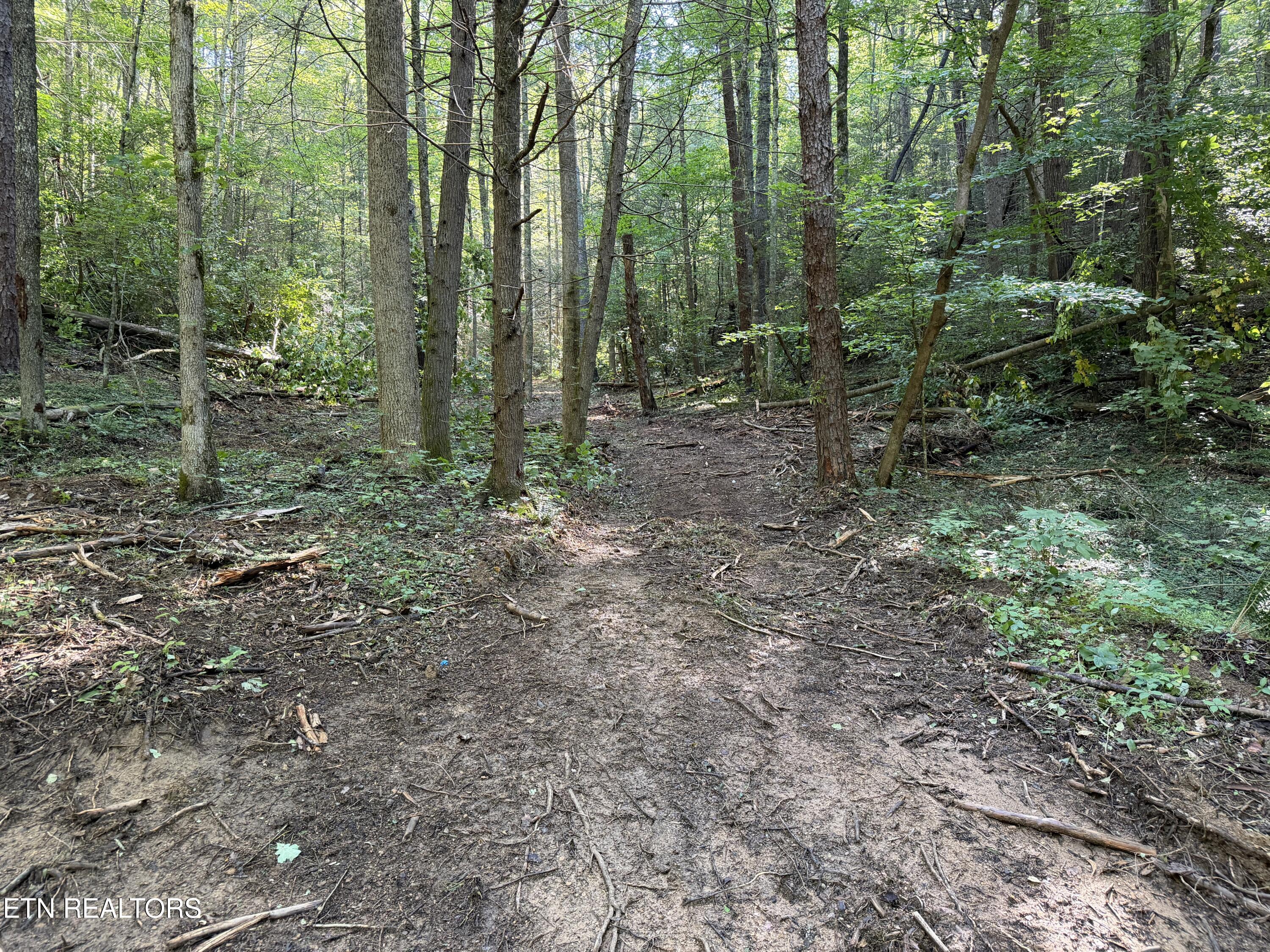Bogard Road Cosby TN 37722