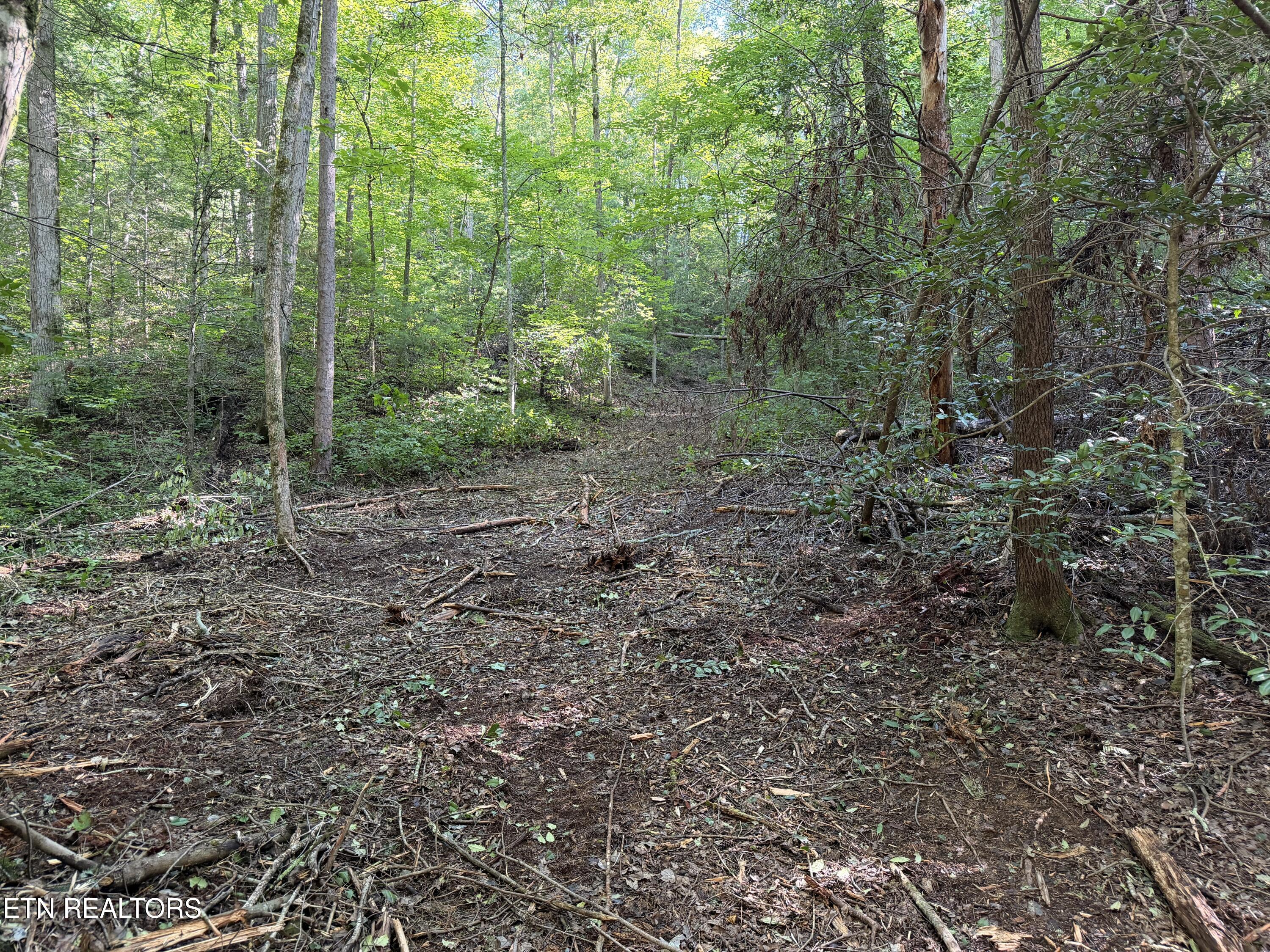 Bogard Road Cosby TN 37722