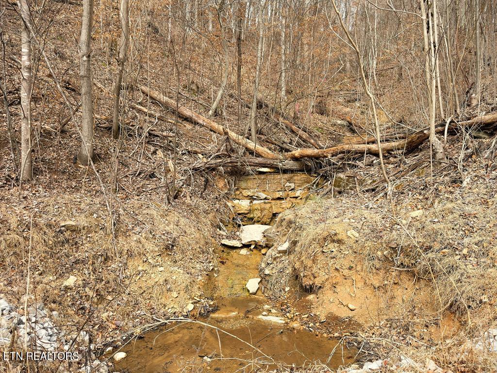 50D Crappie Lane Hilham TN 38568