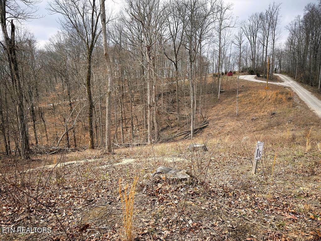 50D Crappie Lane Hilham TN 38568