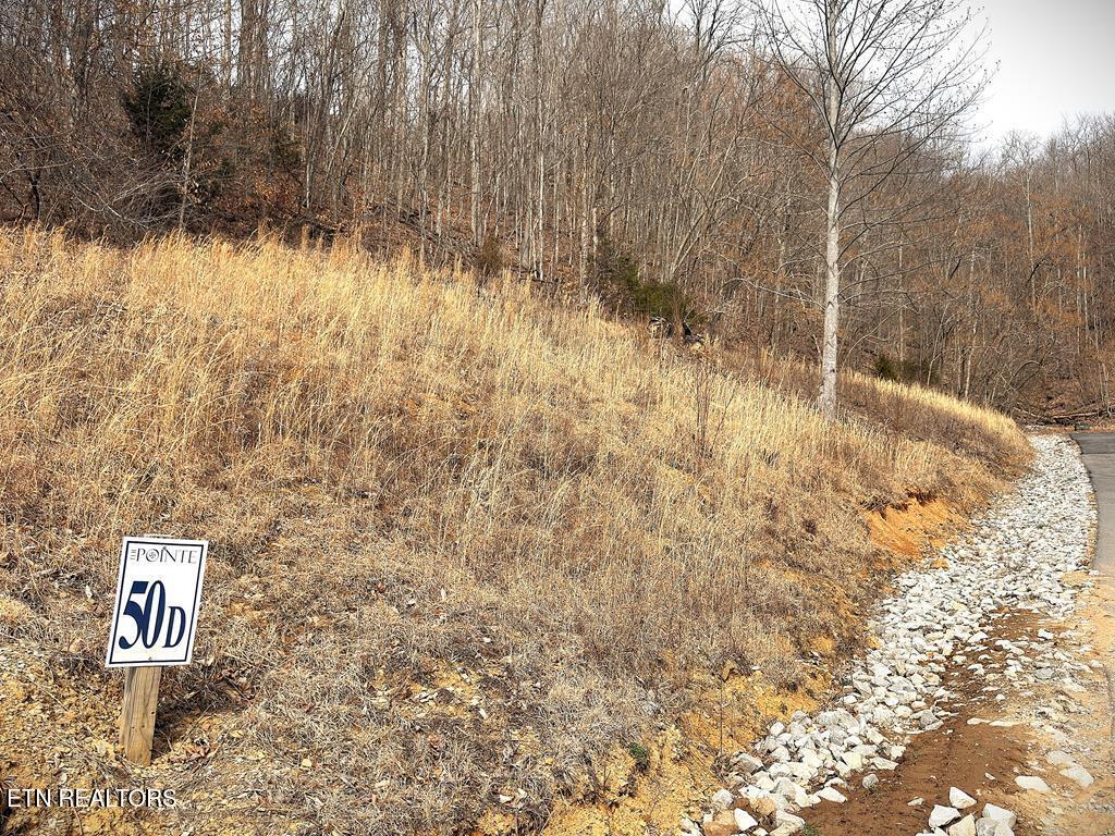 50D Crappie Lane Hilham TN 38568