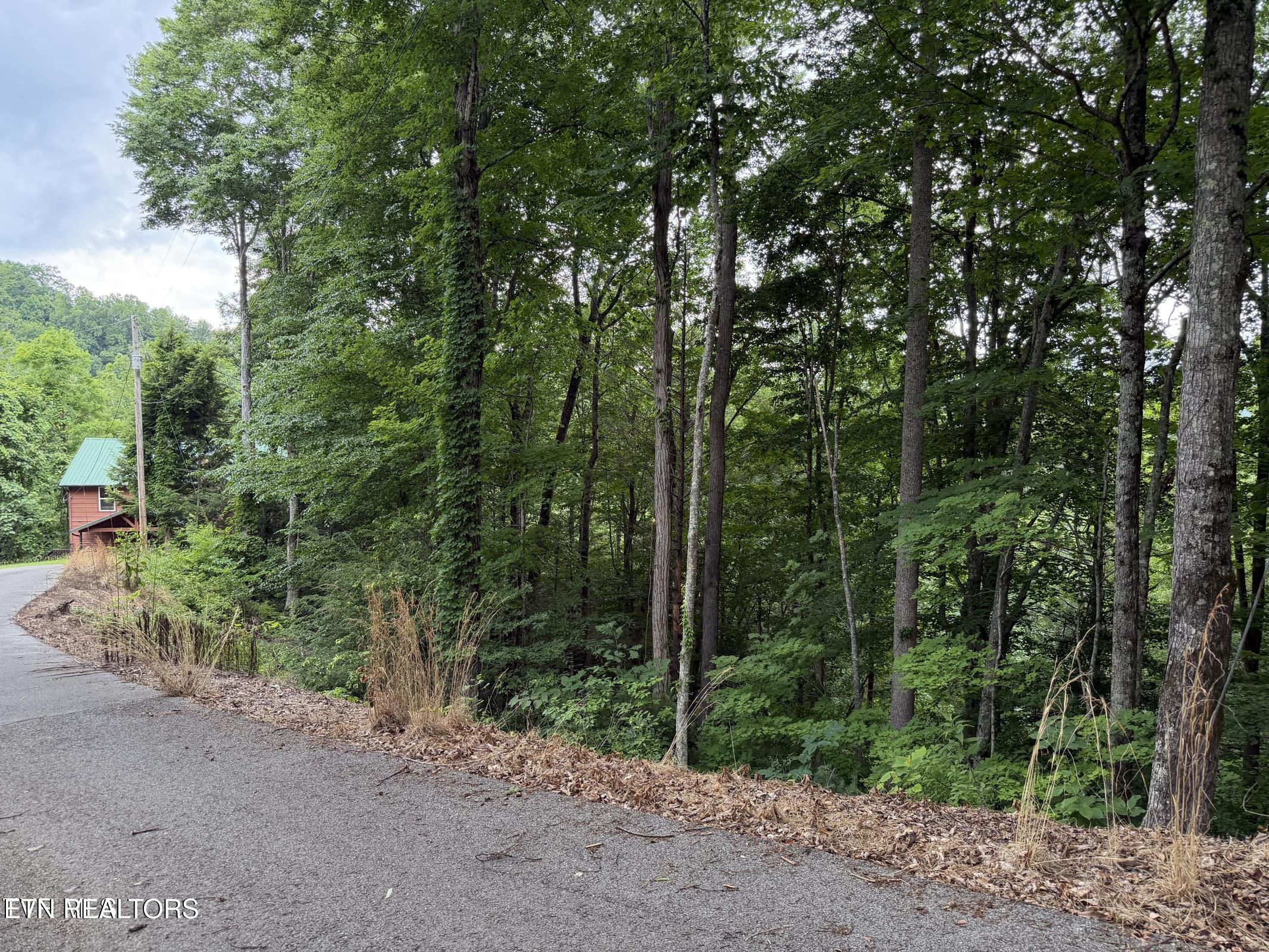 Tbd High Top Loop Sevierville TN 37862