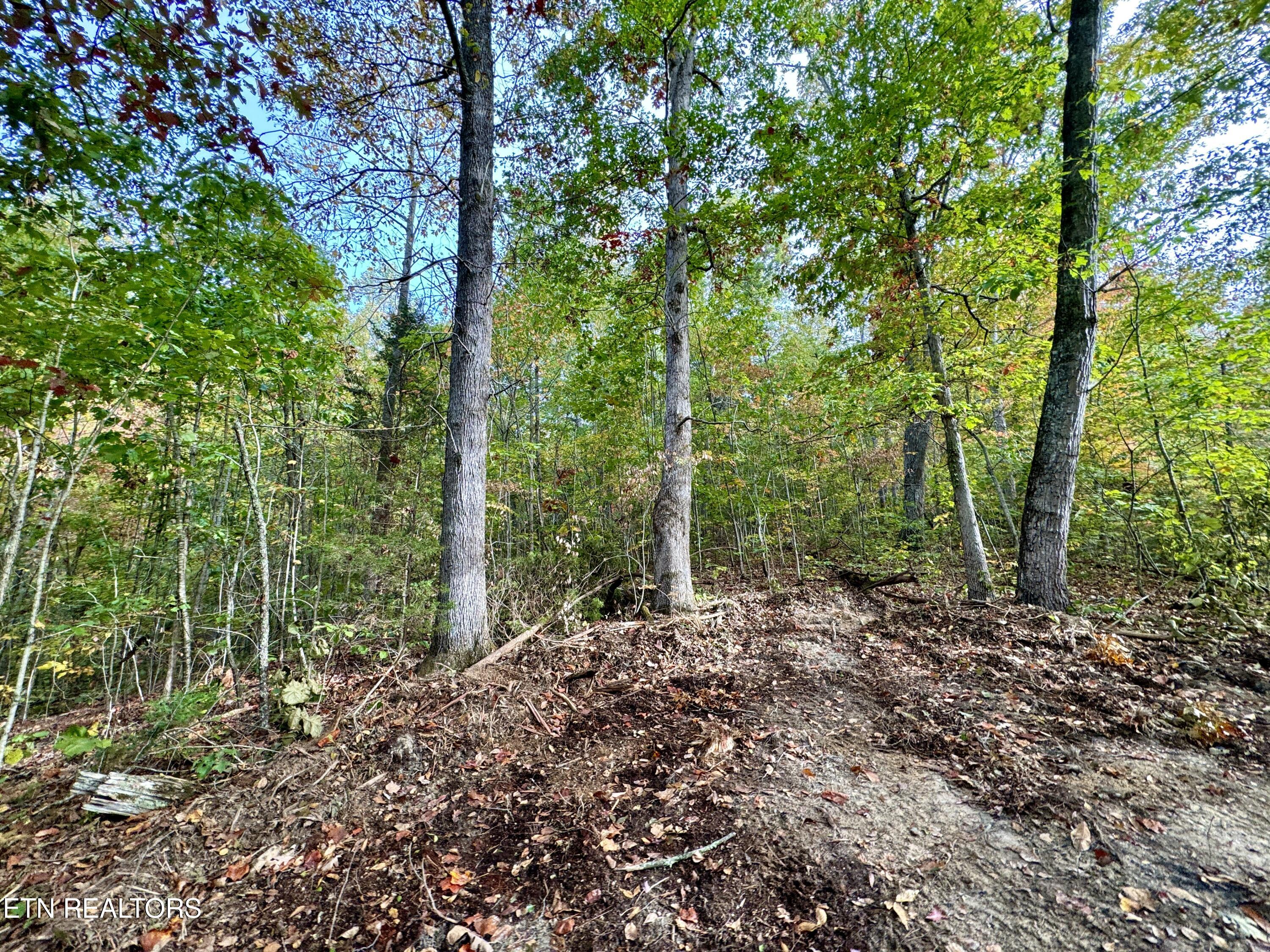 Sharp Road Sevierville TN 37876