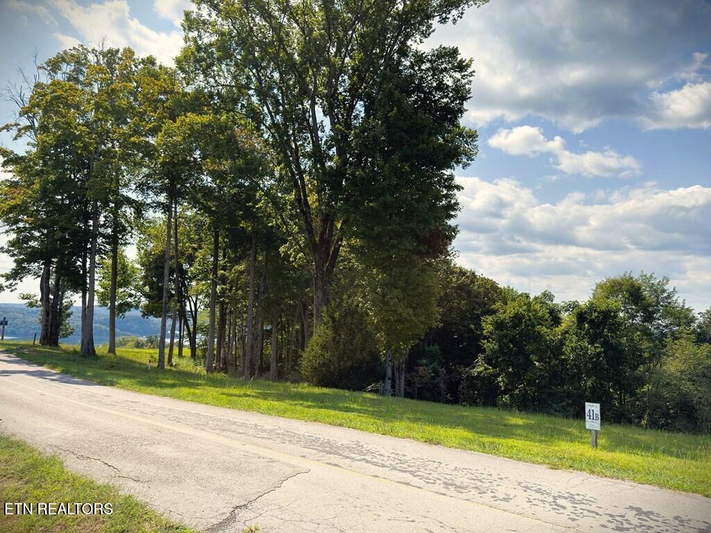 41B Bald Eagle Road Hilham TN 38568